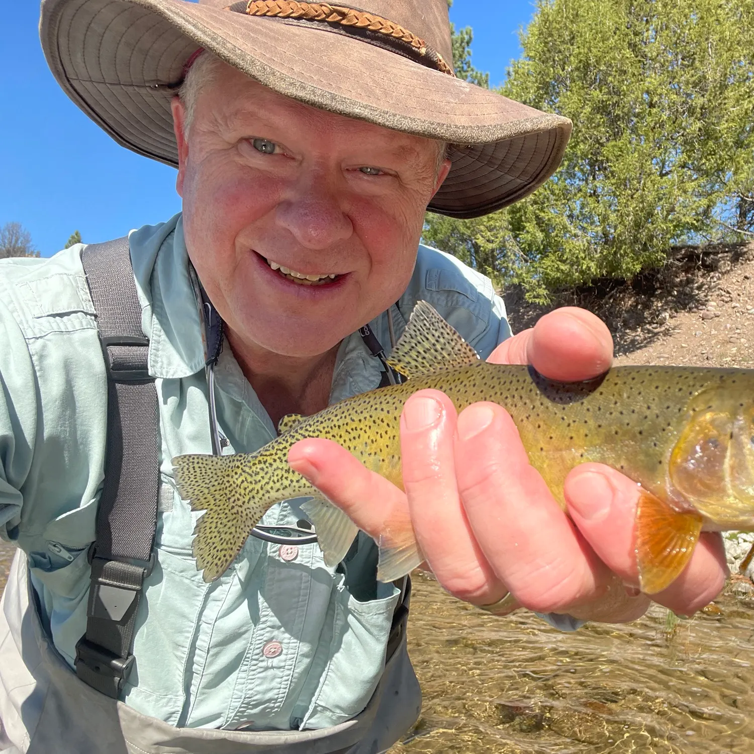Cutthroat trout caught on Fishbrain