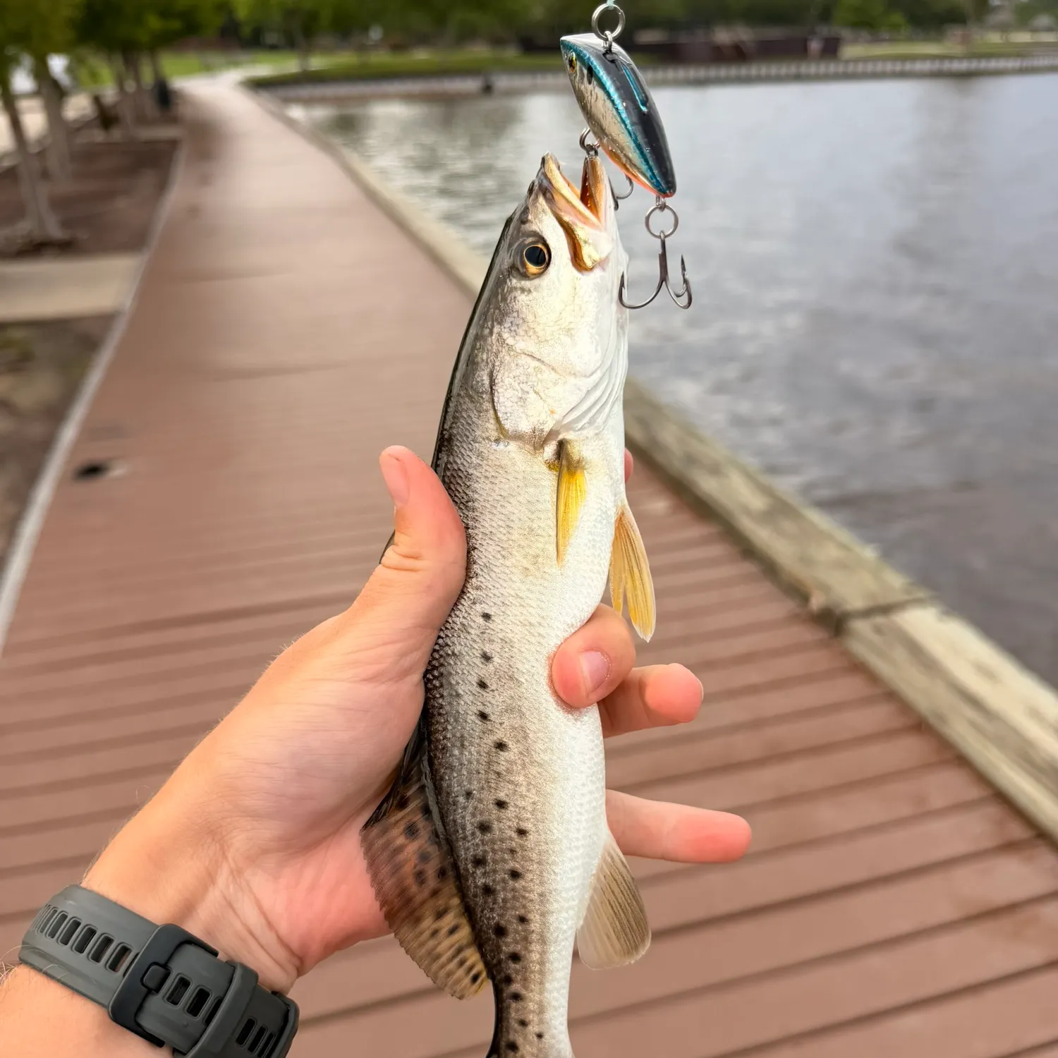 catch