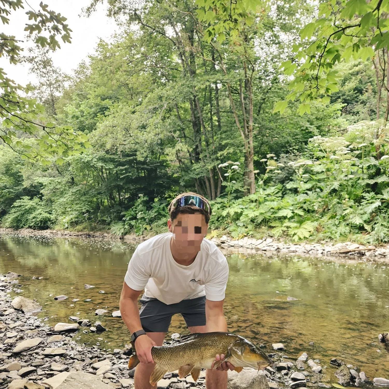The most recent Common barbel catches on Fishbrain