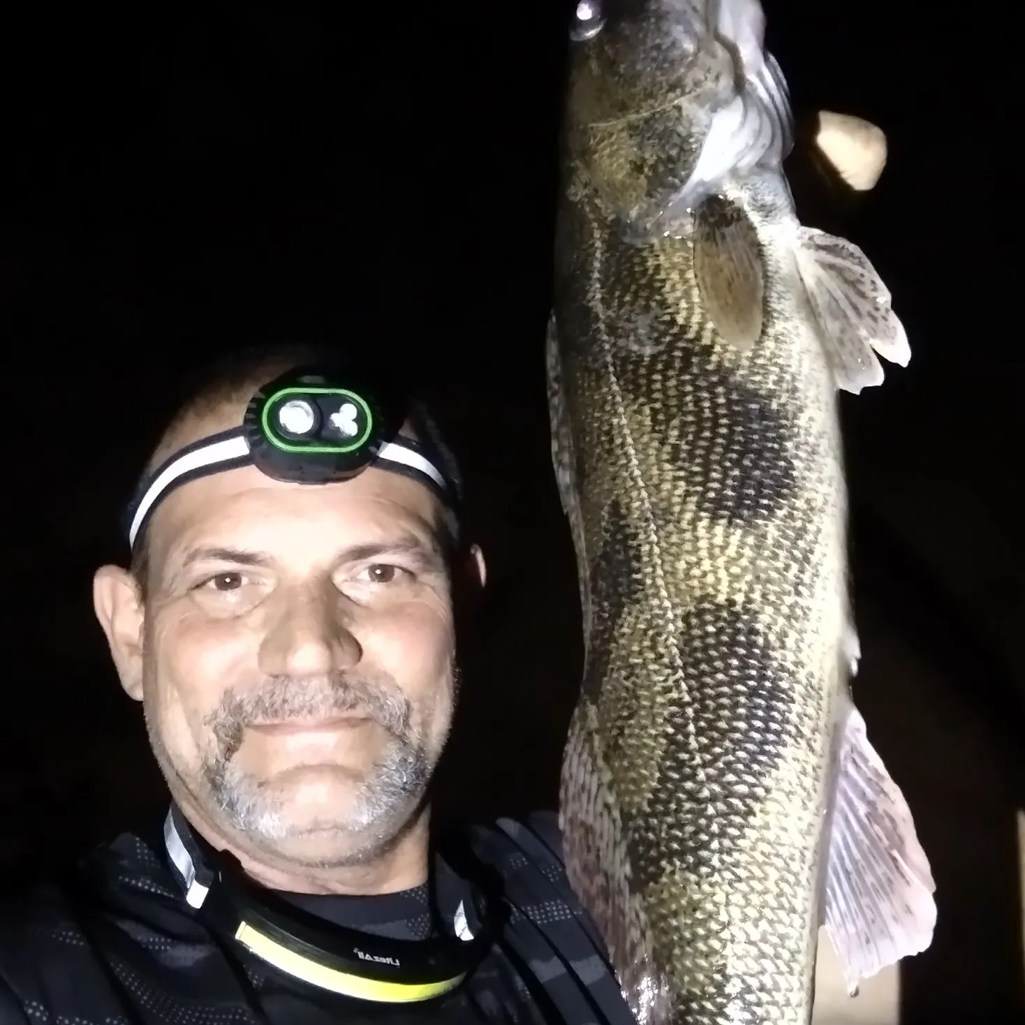 Sauger caught on Fishbrain
