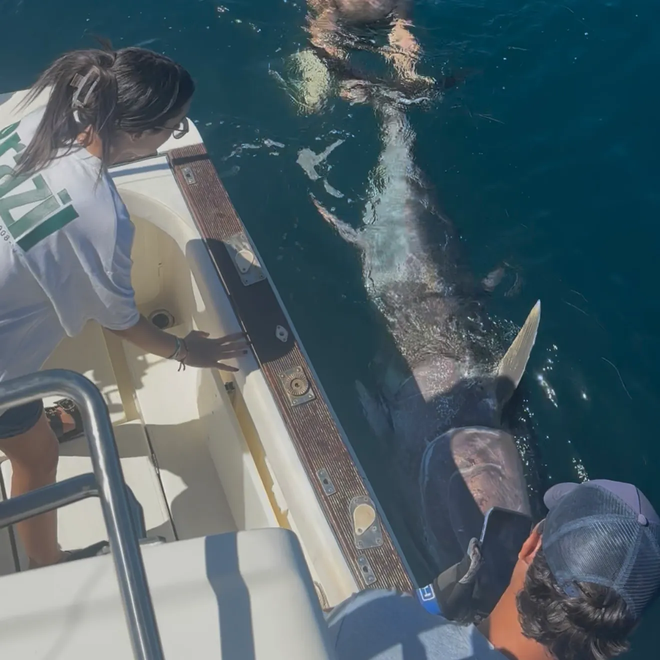 Atlantic bluefin tuna caught on Fishbrain