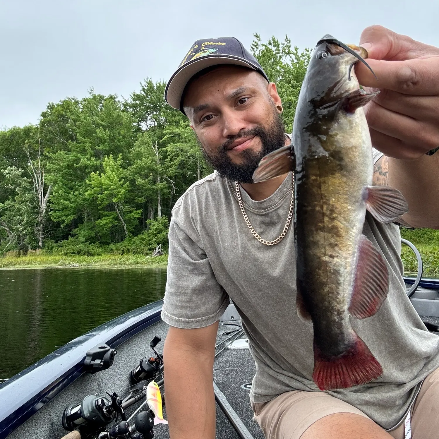 Brown bullhead caught on Fishbrain