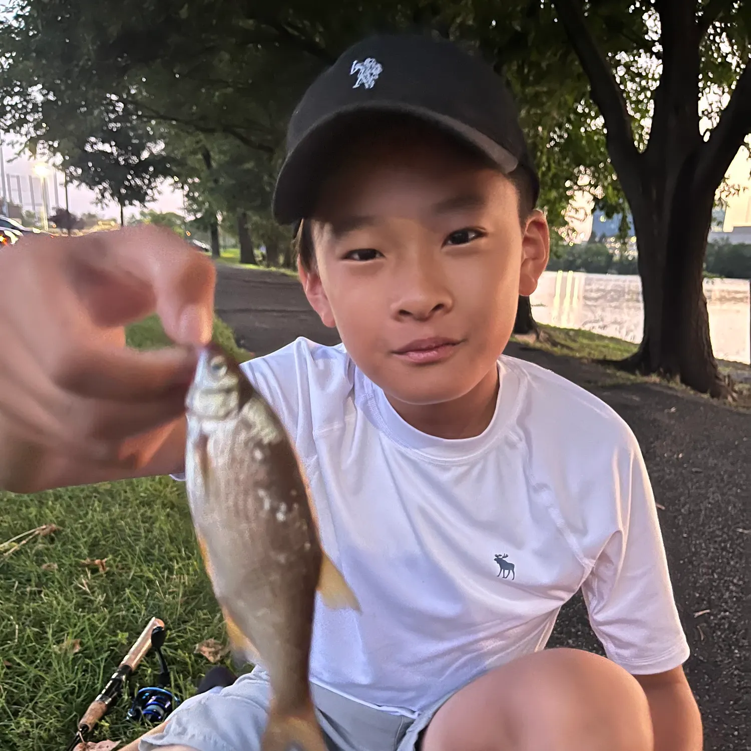Golden shiner caught on Fishbrain