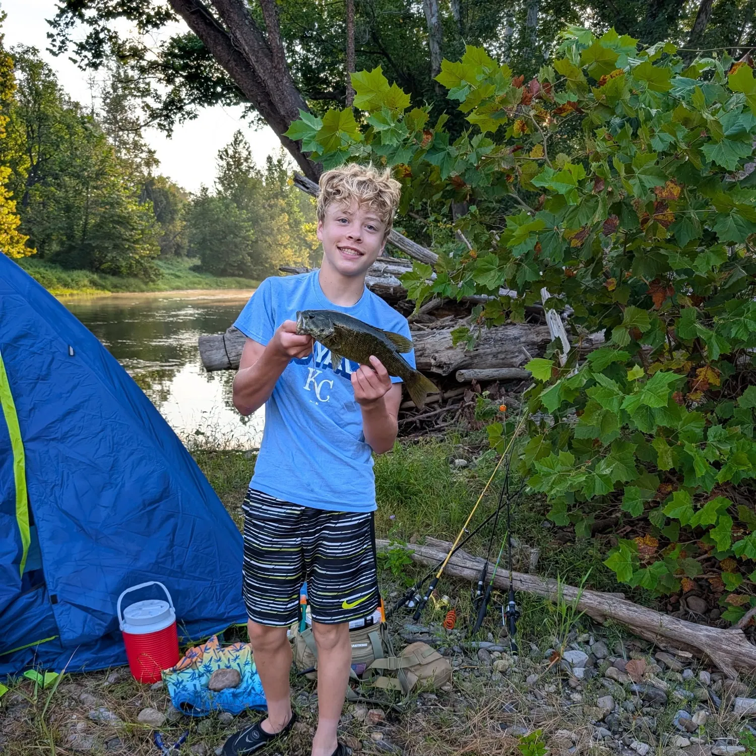 Smallmouth bass caught on Fishbrain