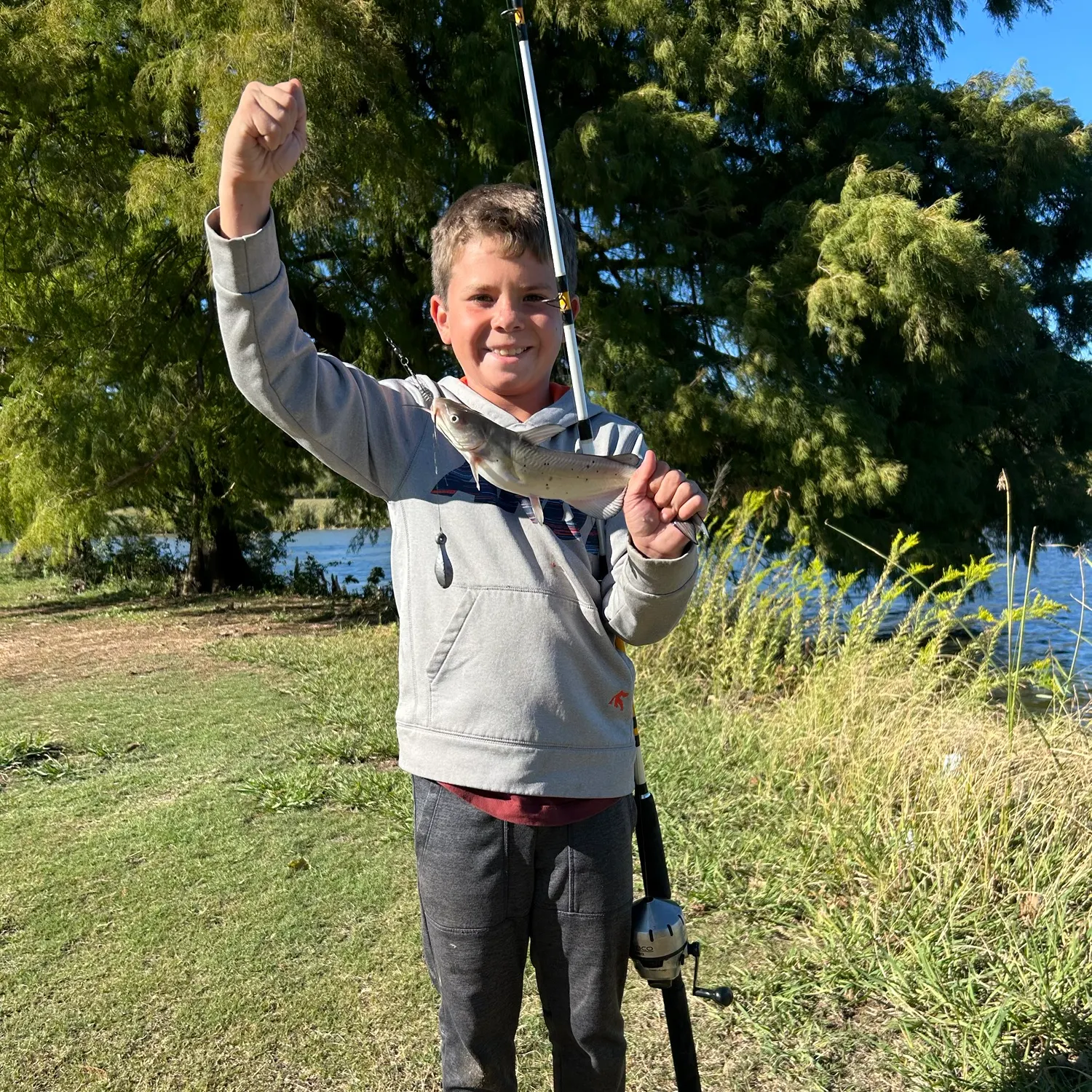 Channel catfish caught on Fishbrain
