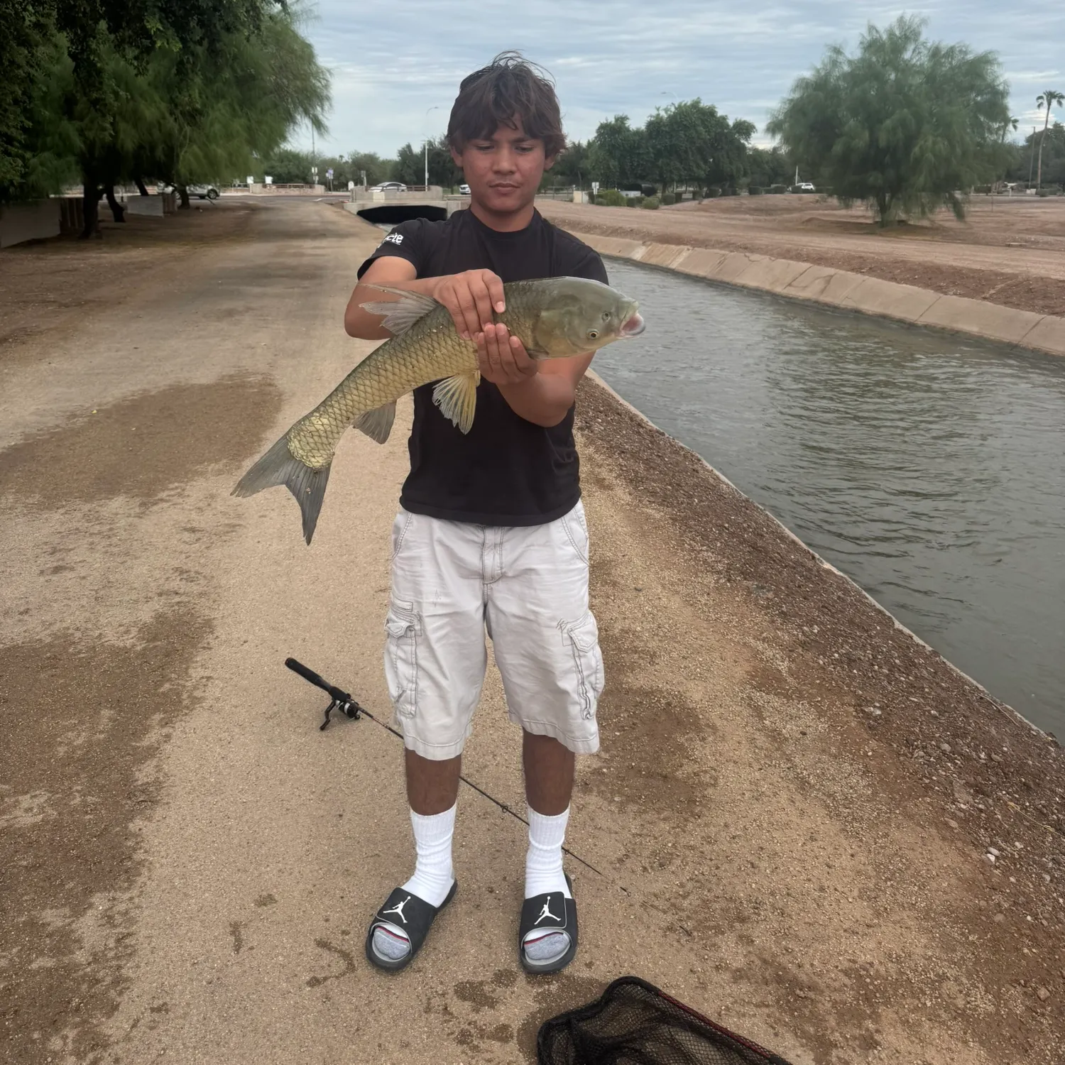Grass carp caught on Fishbrain