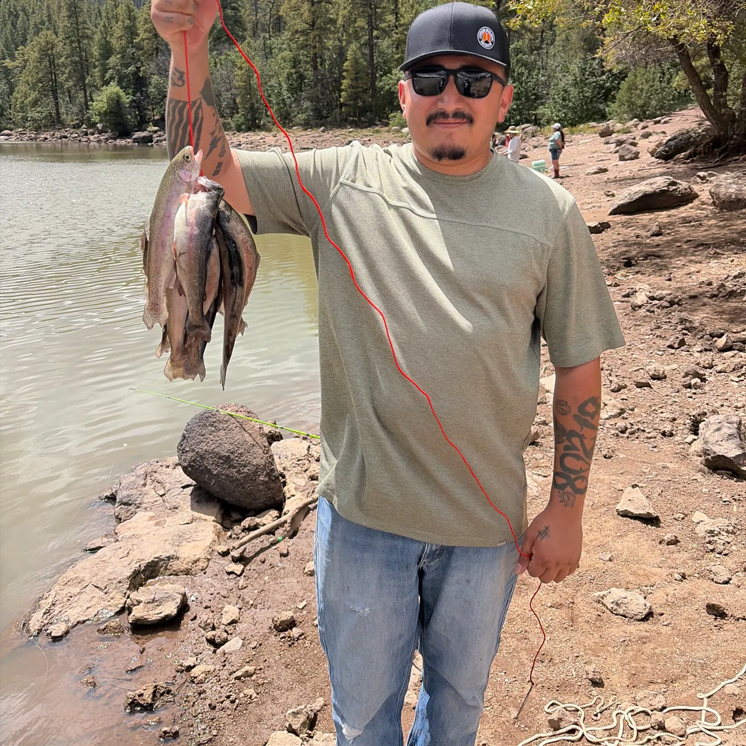 Rainbow trout caught on Fishbrain