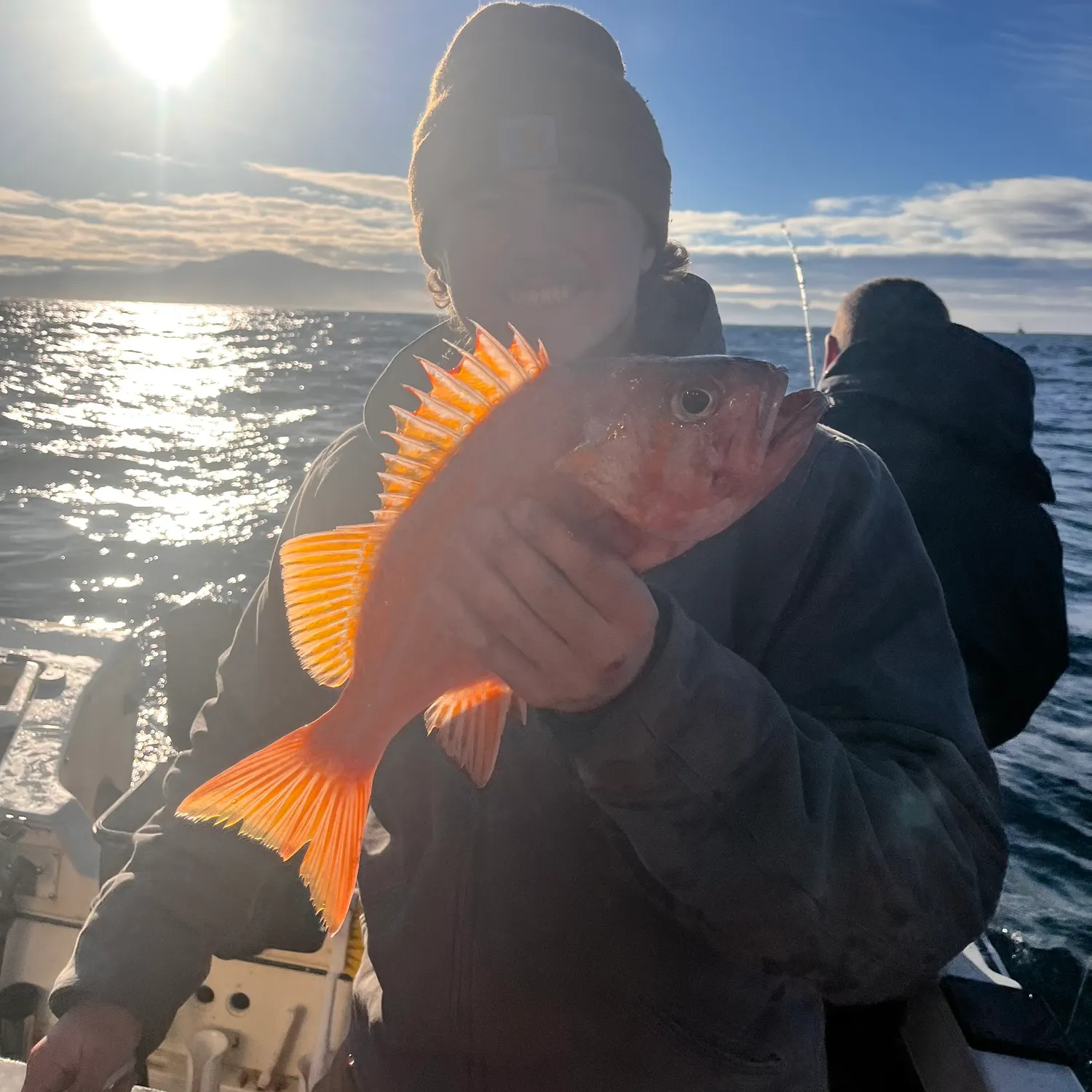 The most recent Canary rockfish catches on Fishbrain