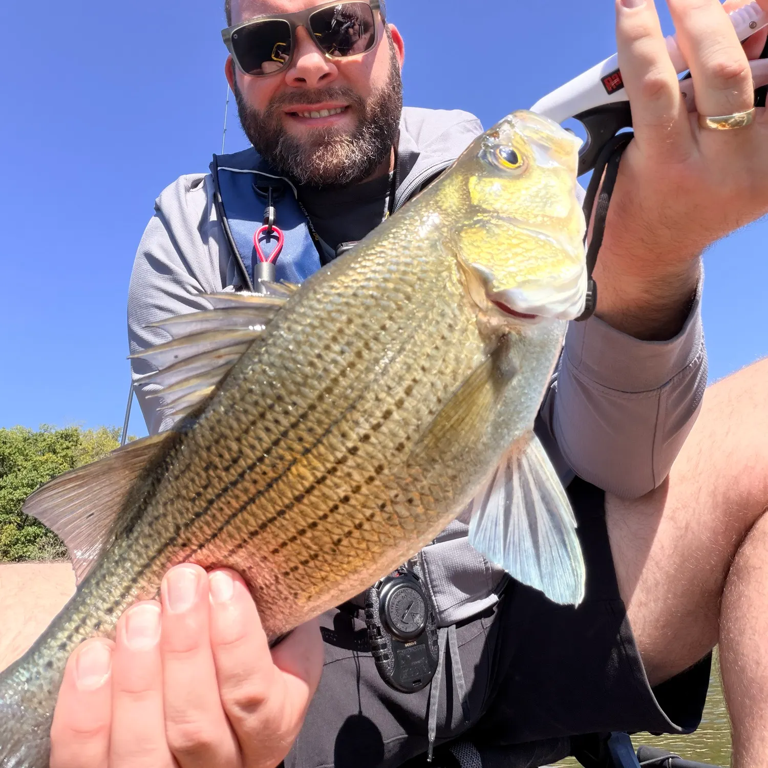 Wiper caught on Fishbrain