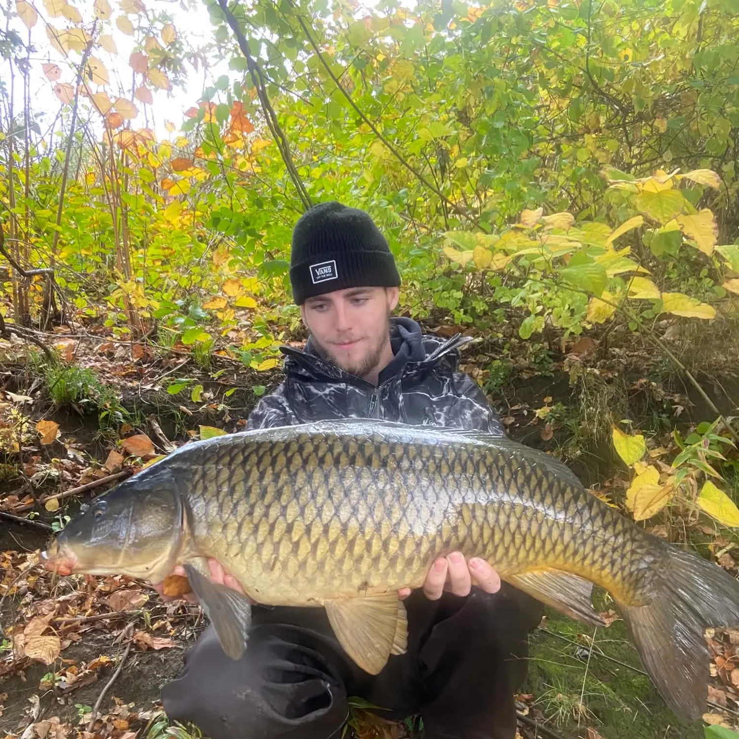 Common carp caught on Fishbrain