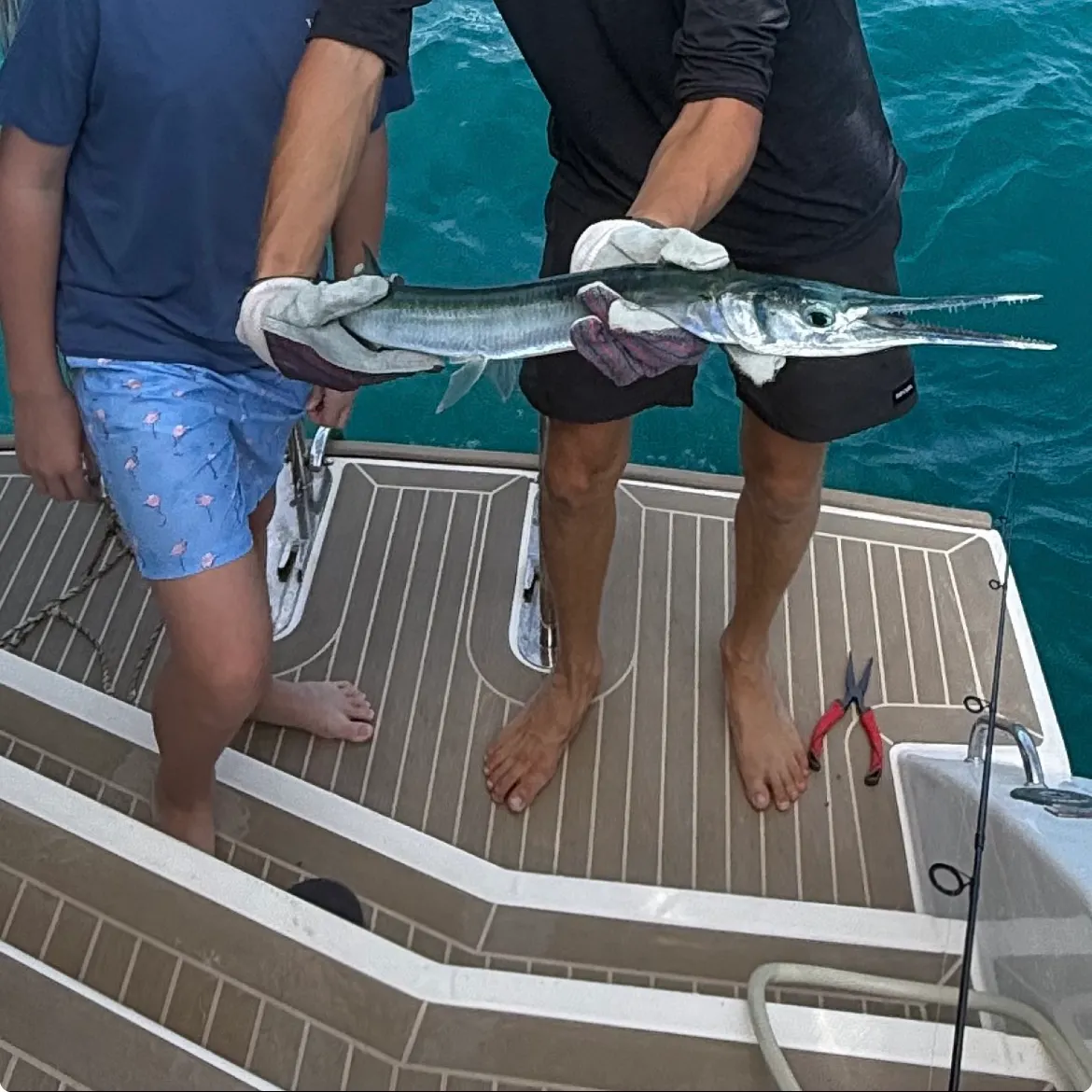 The most recent Flat needlefish catches on Fishbrain