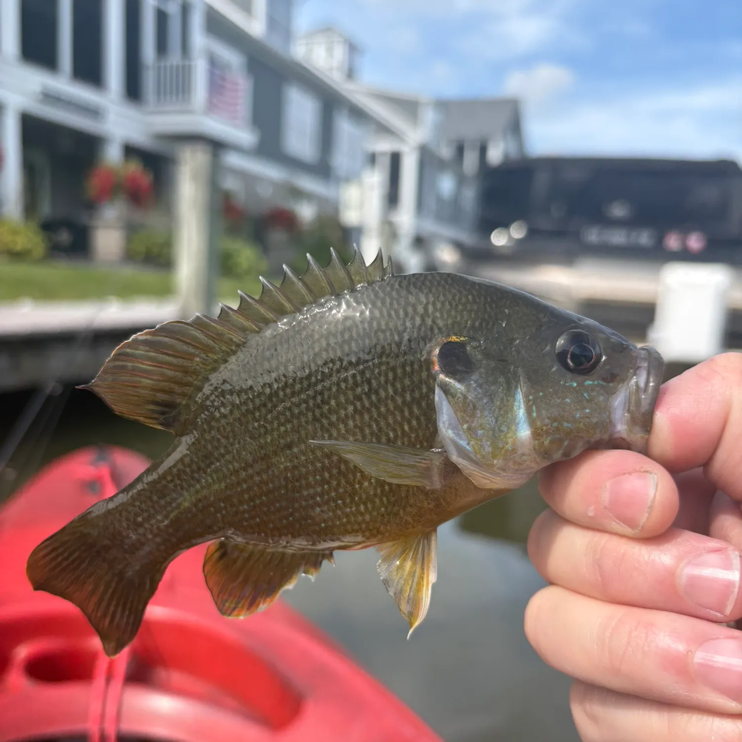catch