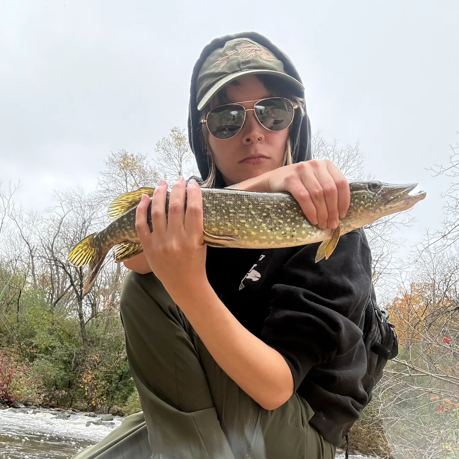 Northern pike caught on Fishbrain