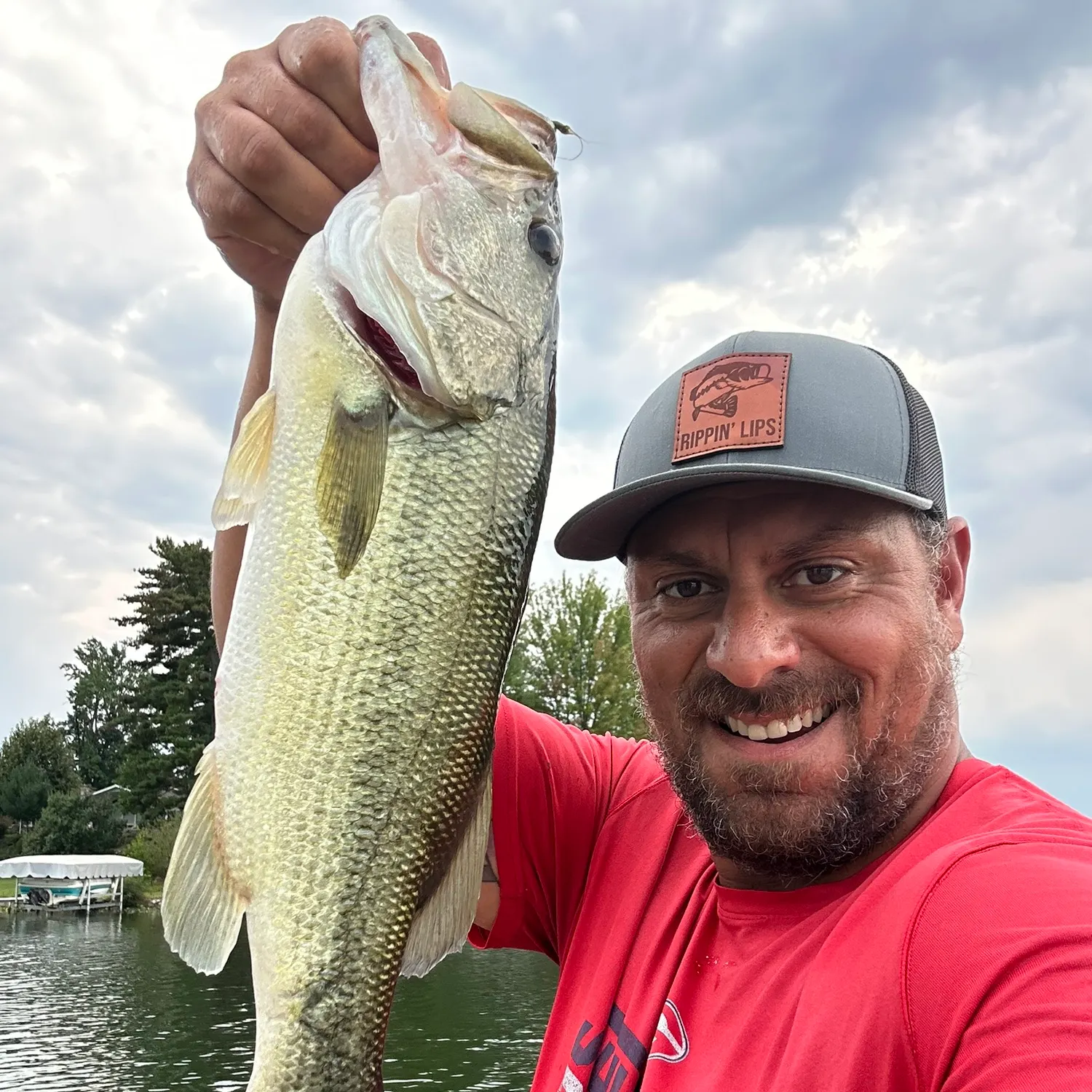 Largemouth bass caught on Fishbrain
