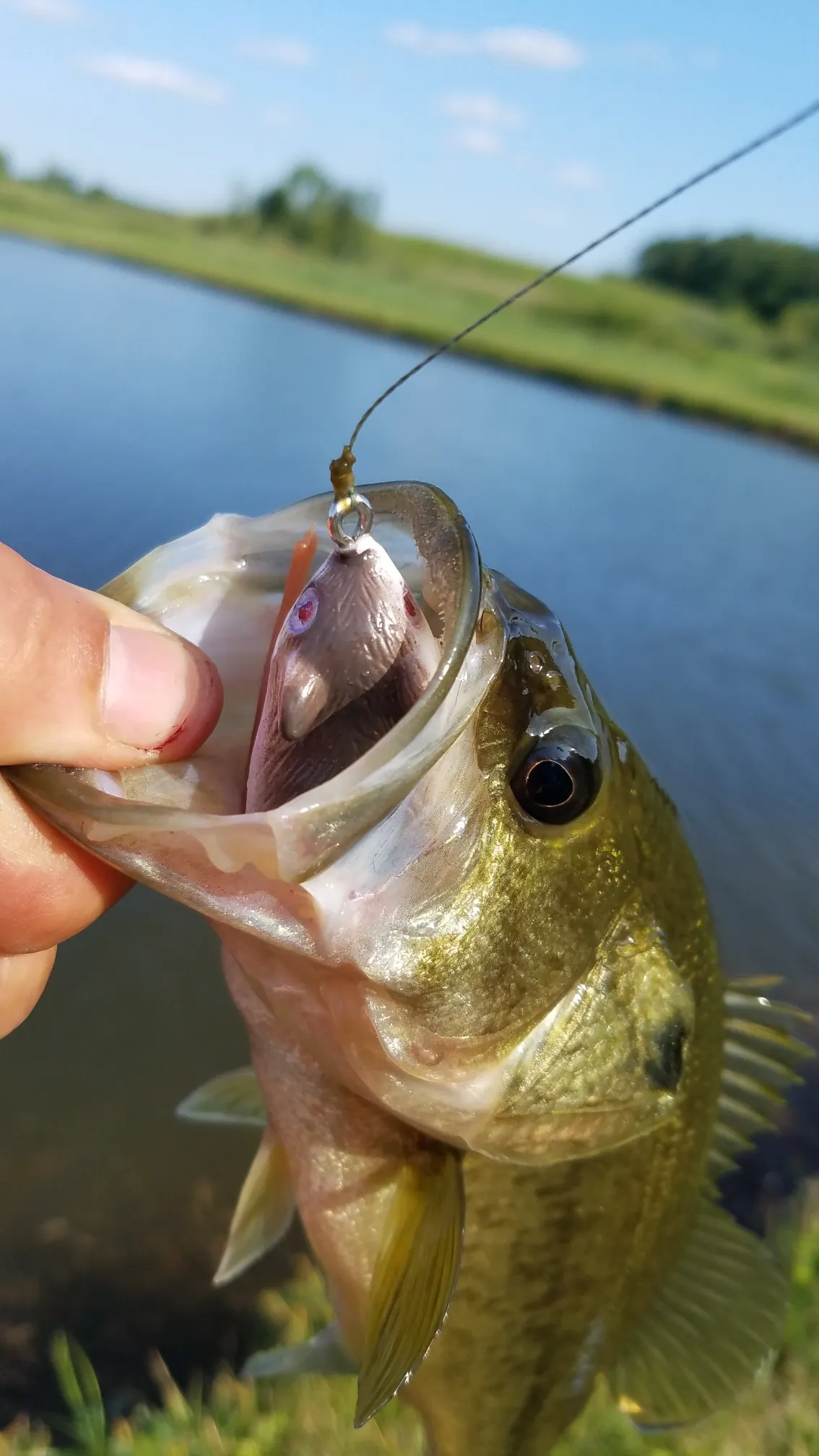 Post image from RiverRecon