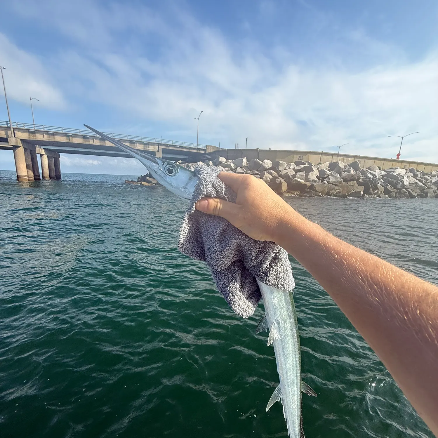 The most recent Hound needlefish catches on Fishbrain