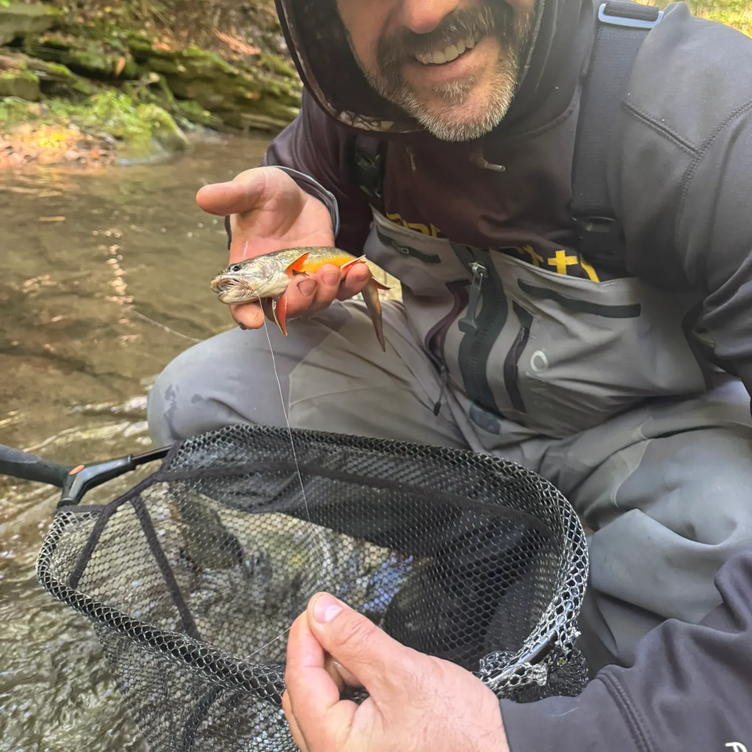 Brook trout caught on Fishbrain