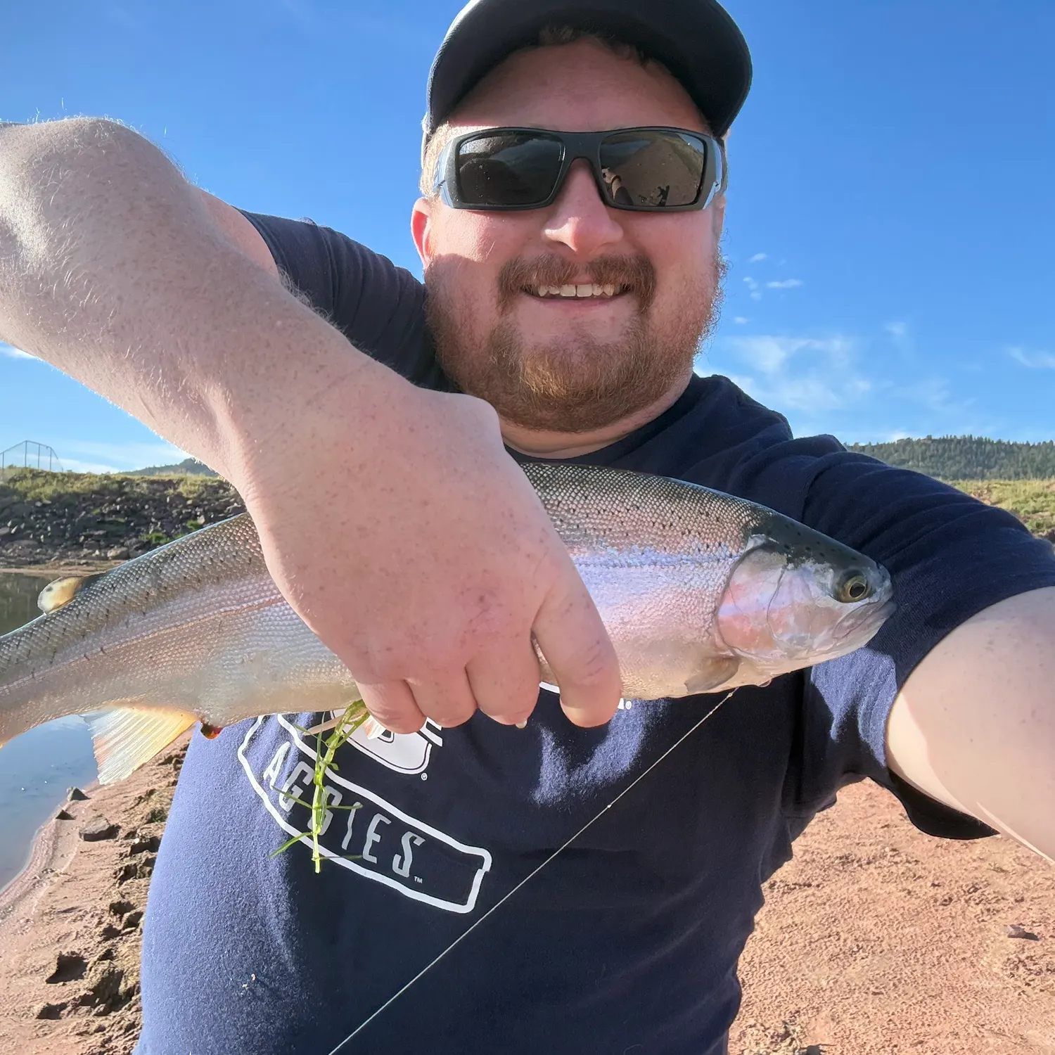 Rainbow trout caught on Fishbrain