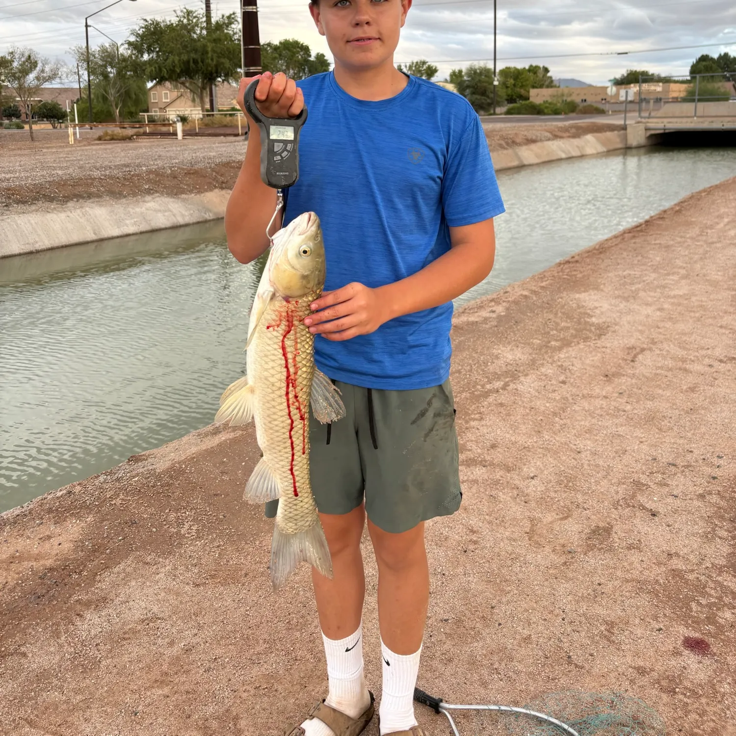 Grass carp caught on Fishbrain