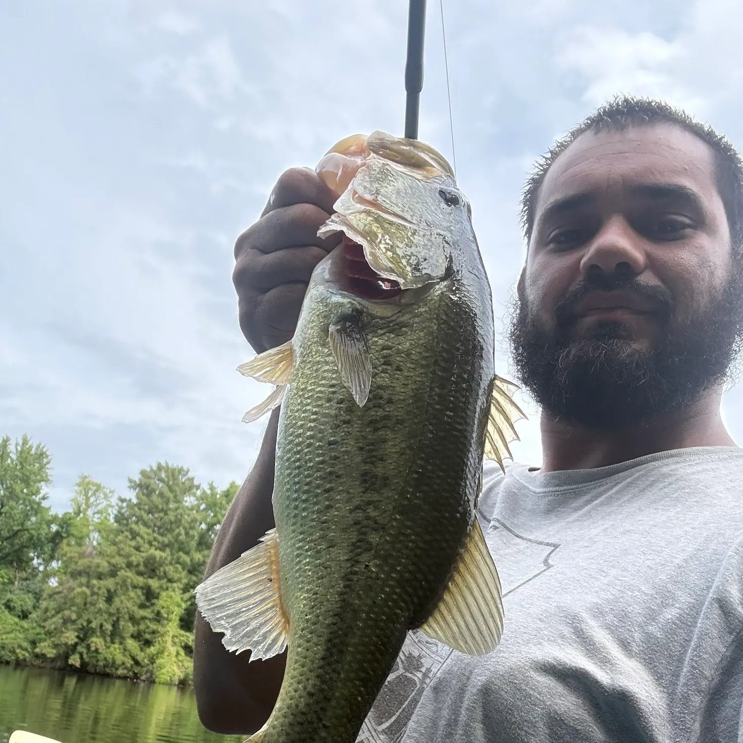 Largemouth bass caught on Fishbrain