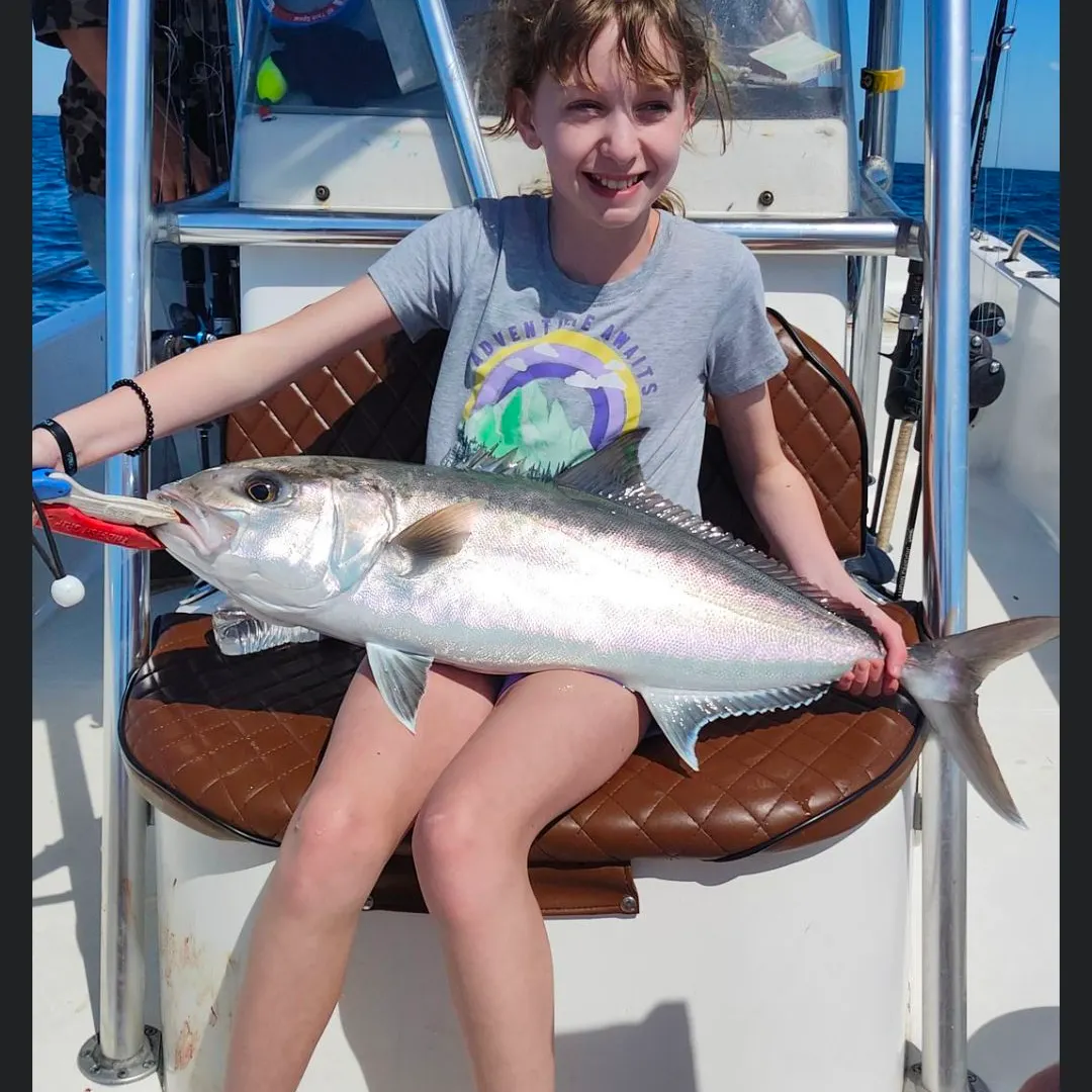 The most recent Greater amberjack catches on Fishbrain
