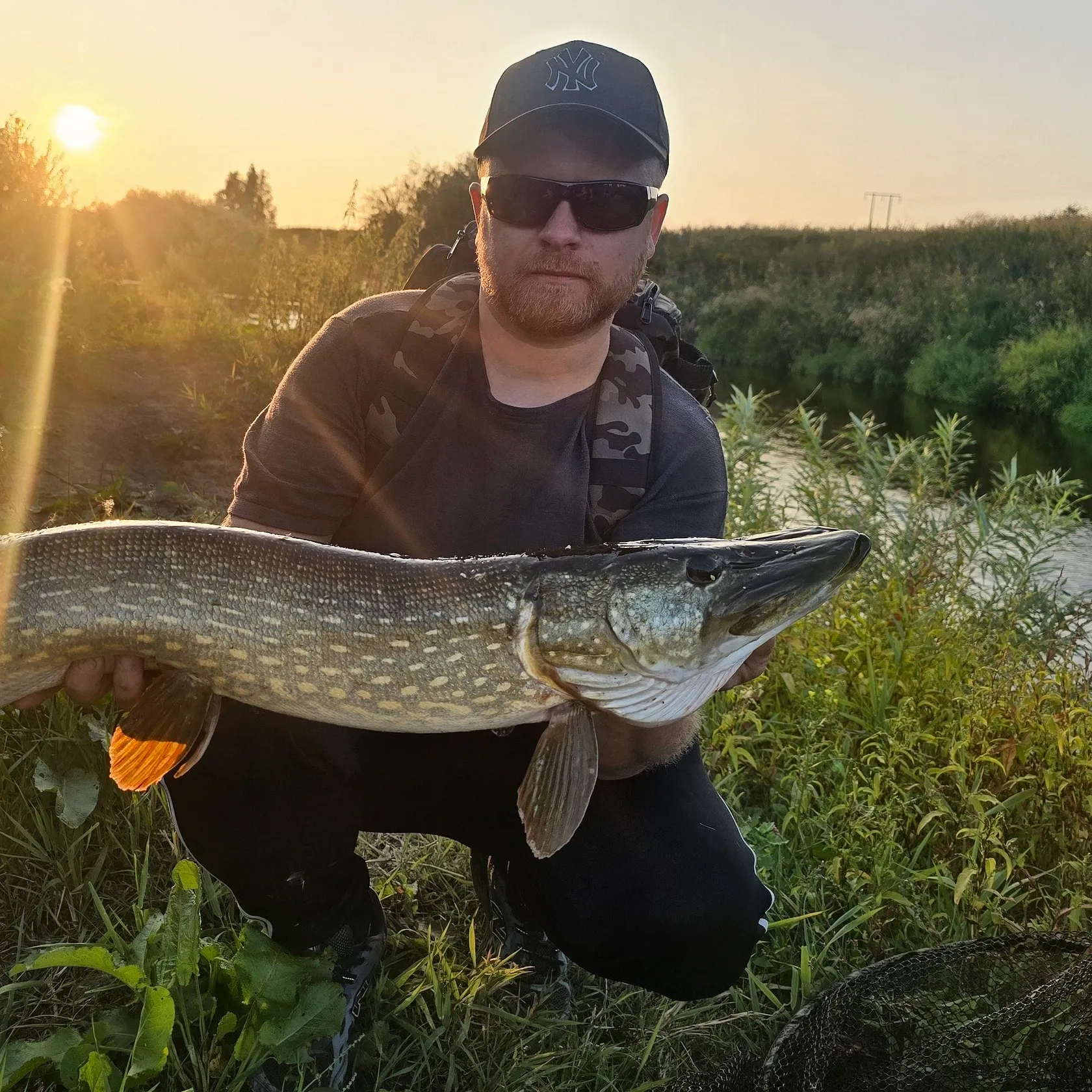 Northern pike caught on Fishbrain