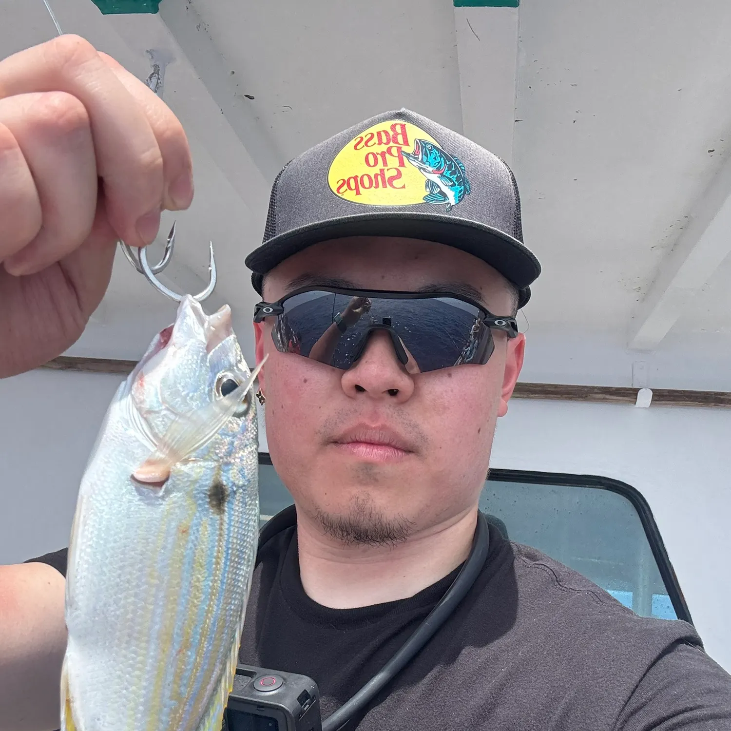 The most recent Lane snapper catches on Fishbrain