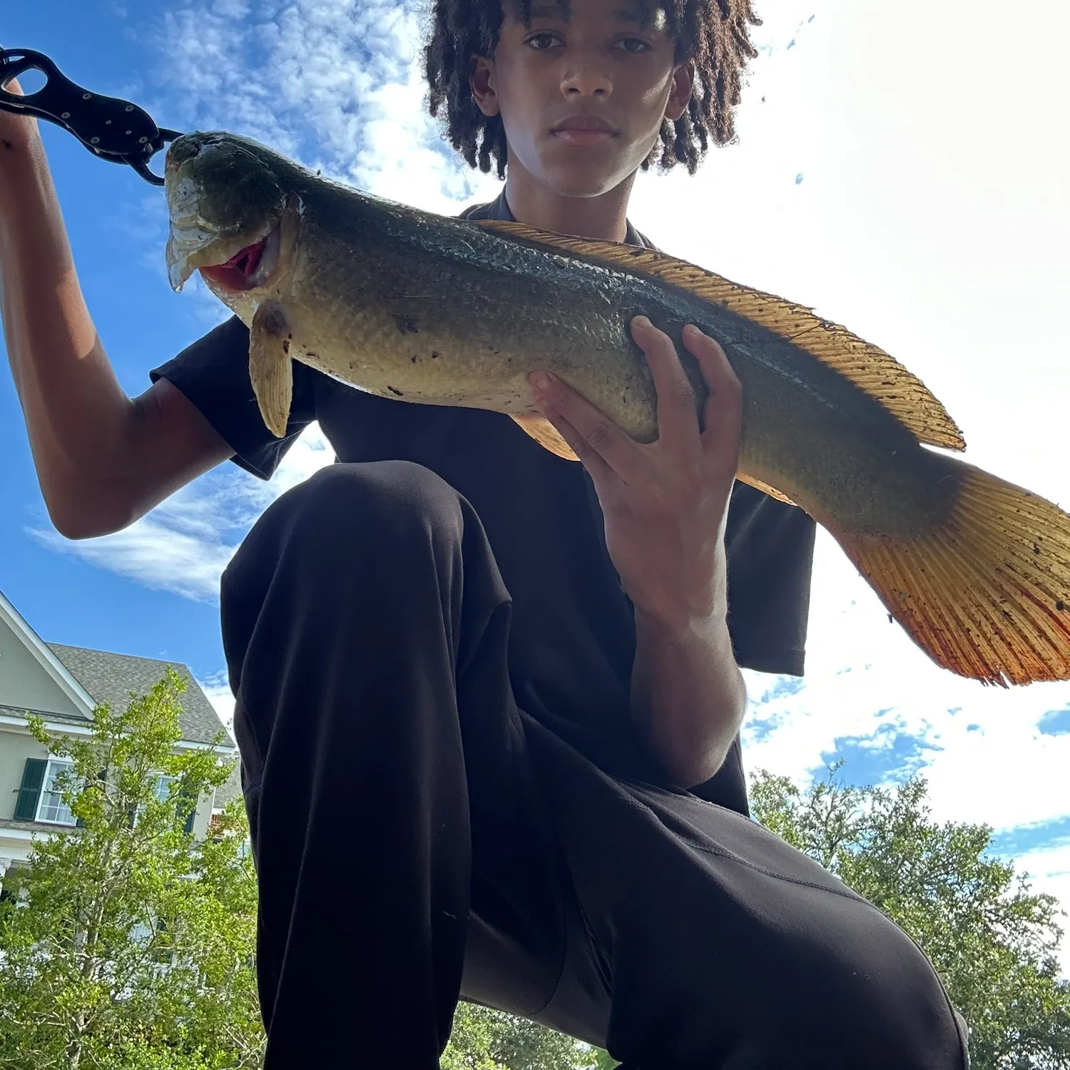 catch
