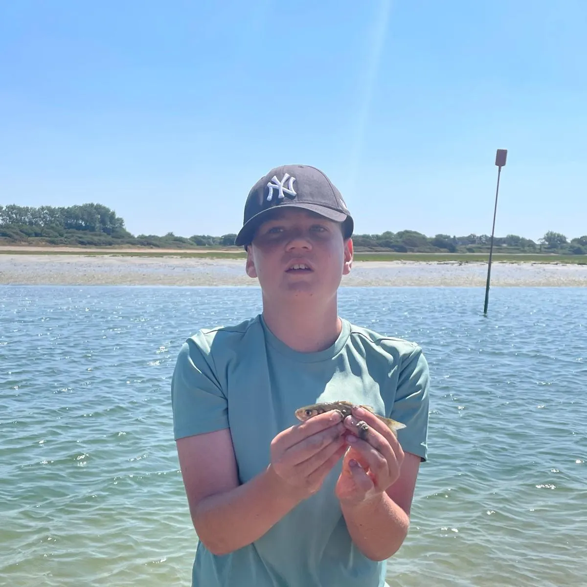 The most recent Common goby catches on Fishbrain