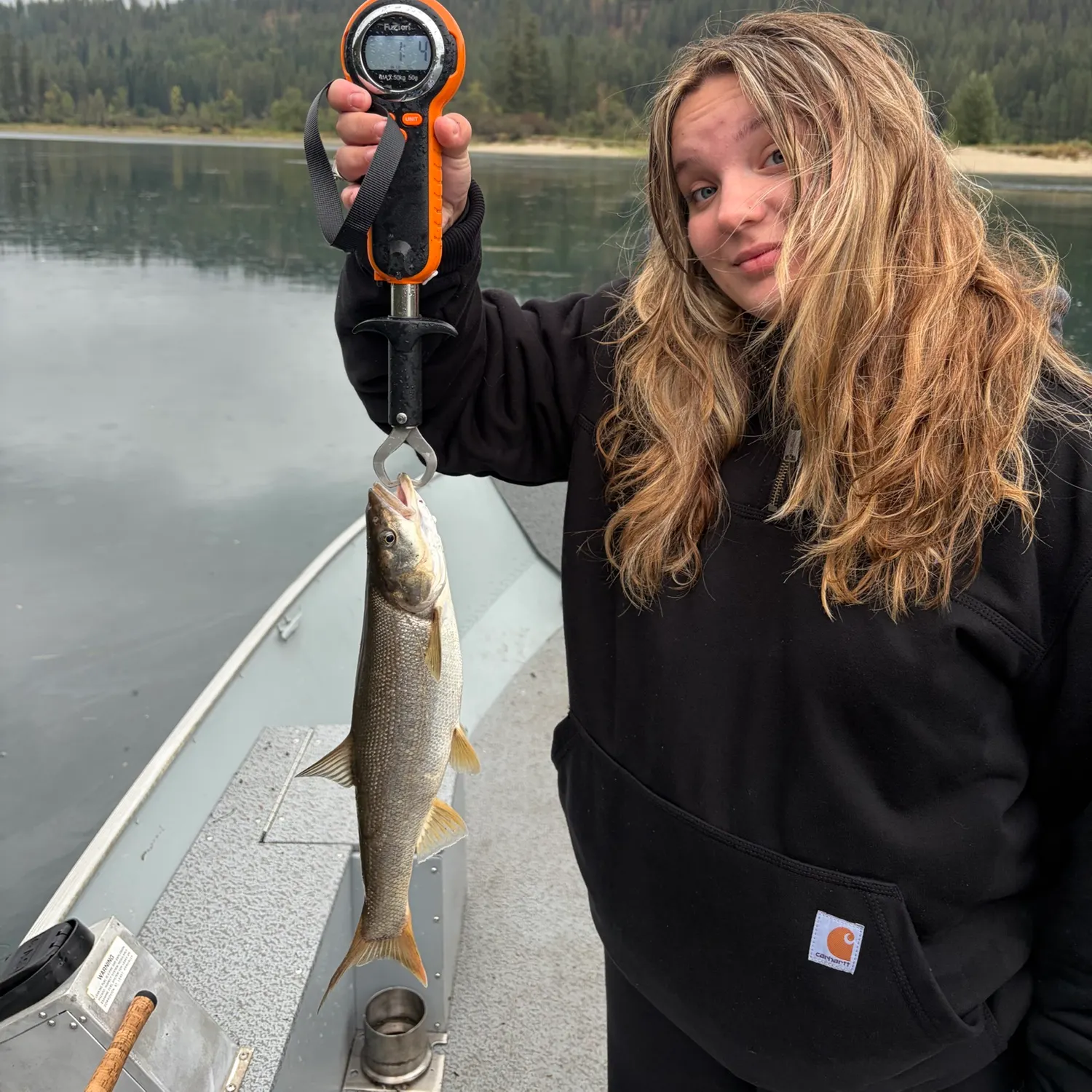 Northern pikeminnow caught on Fishbrain
