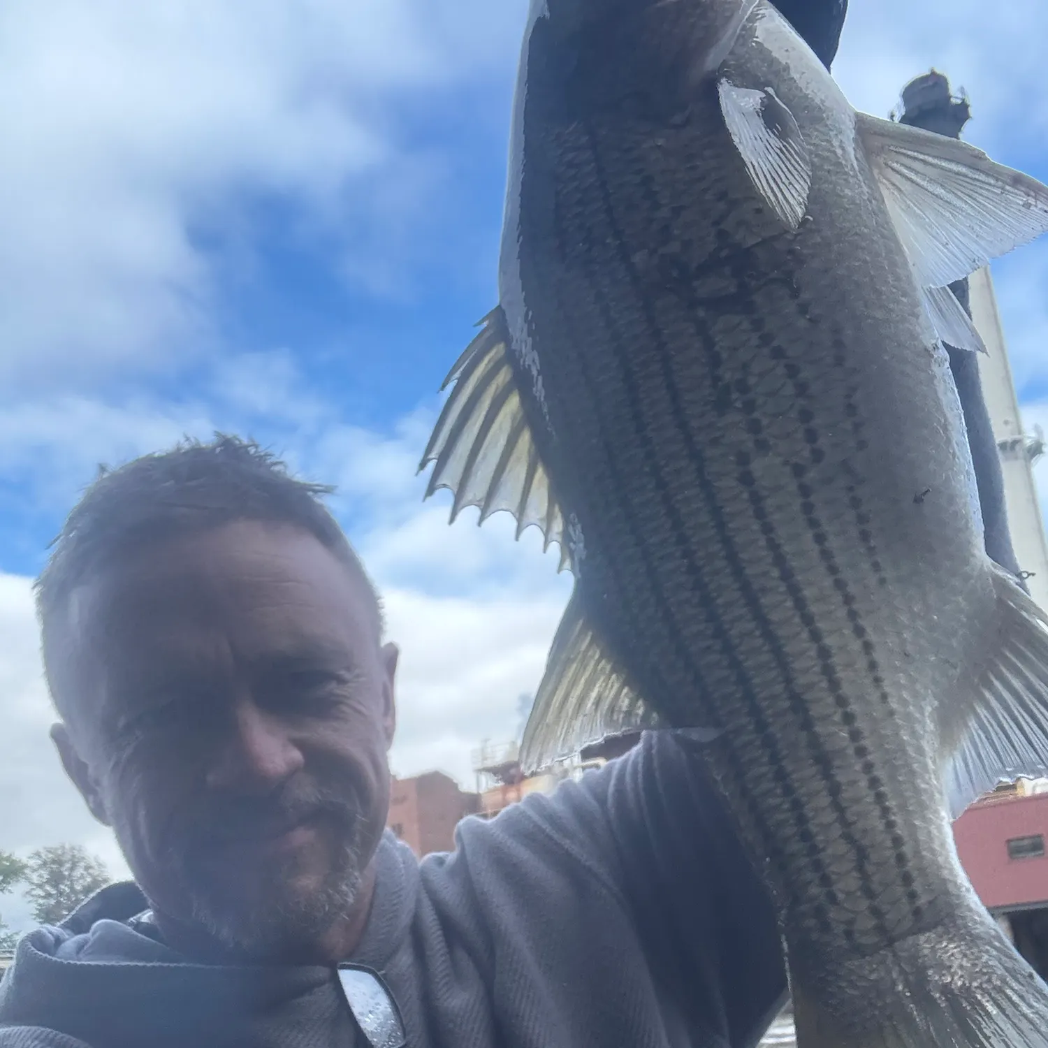 Wiper caught on Fishbrain