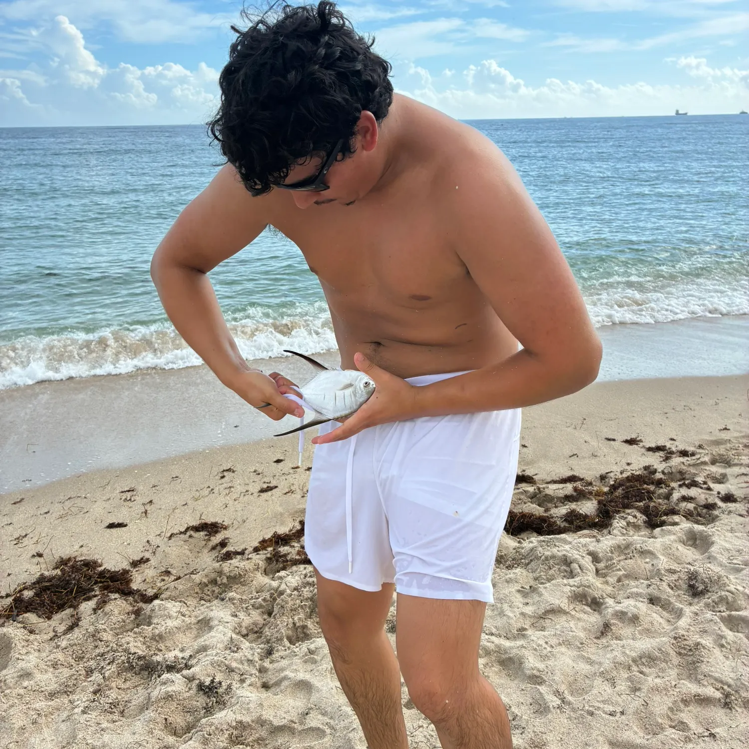 The most recent Palometa catches on Fishbrain