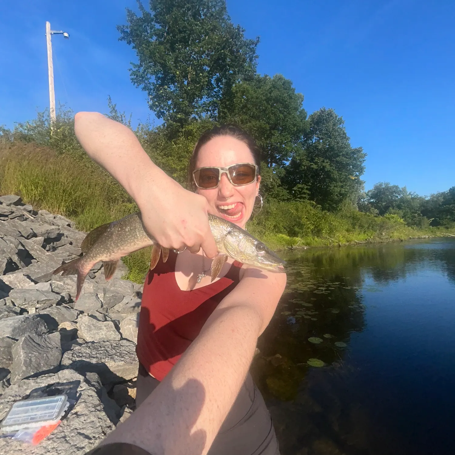 Northern pike caught on Fishbrain