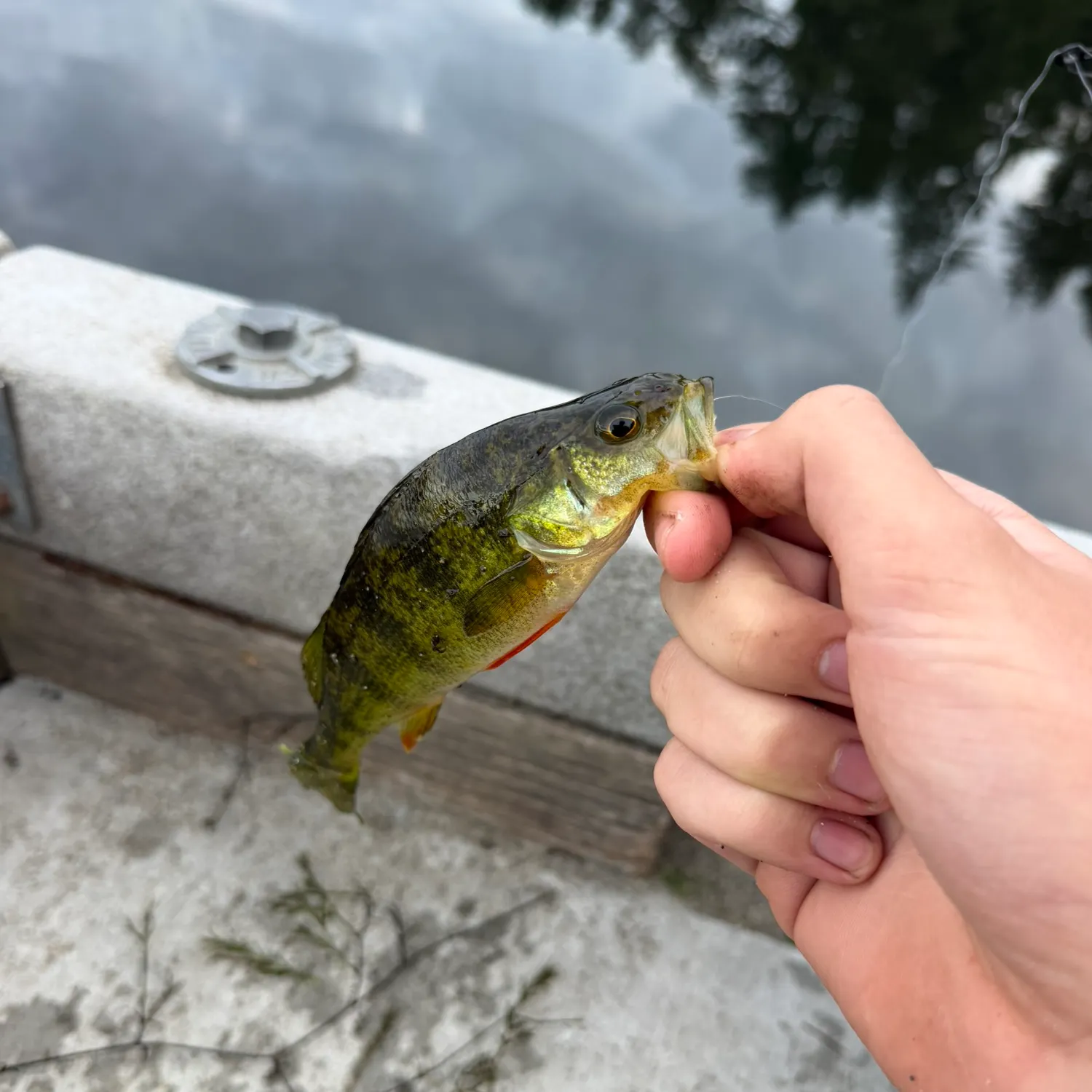 catch