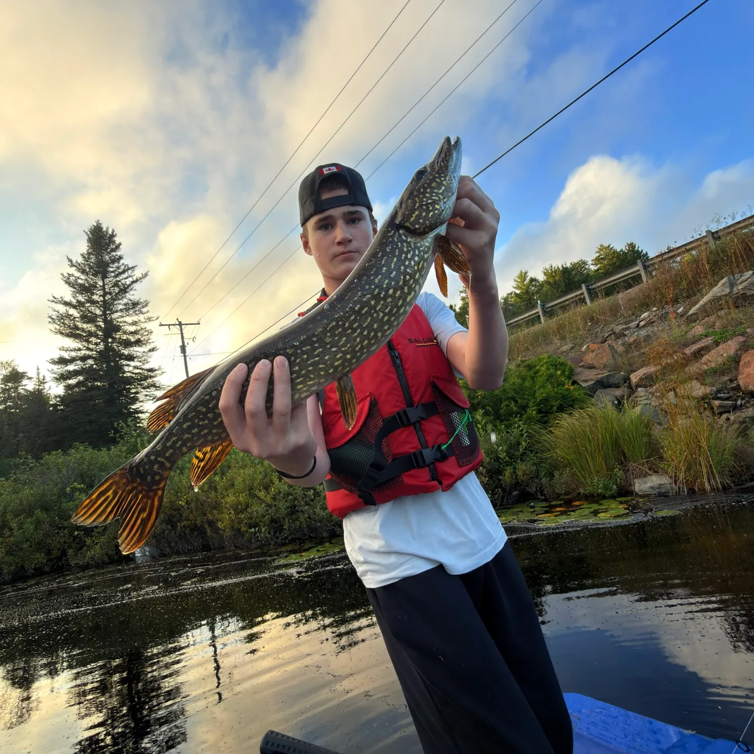 Northern pike caught on Fishbrain