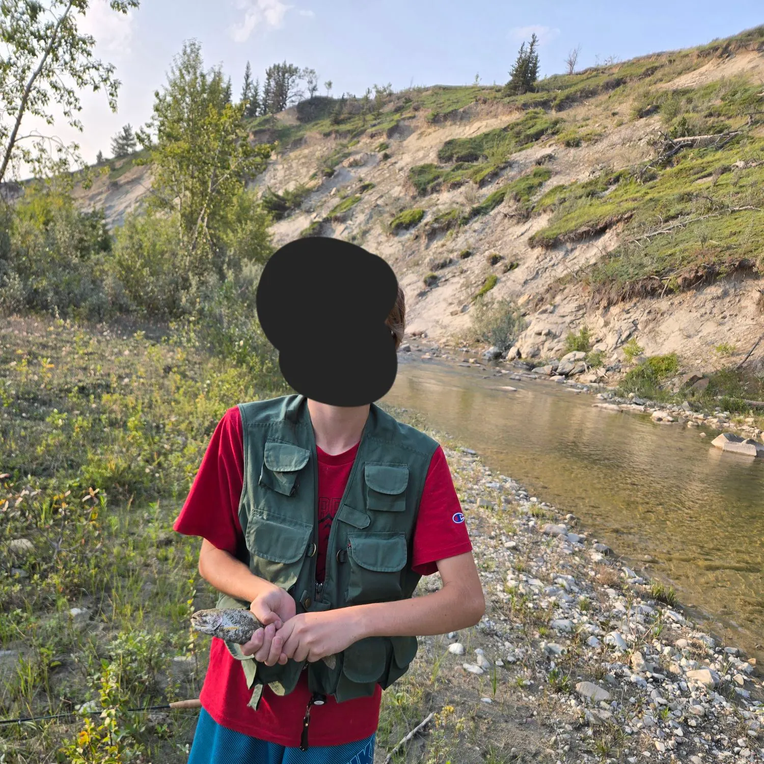 The most recent Westslope cutthroat trout catches on Fishbrain
