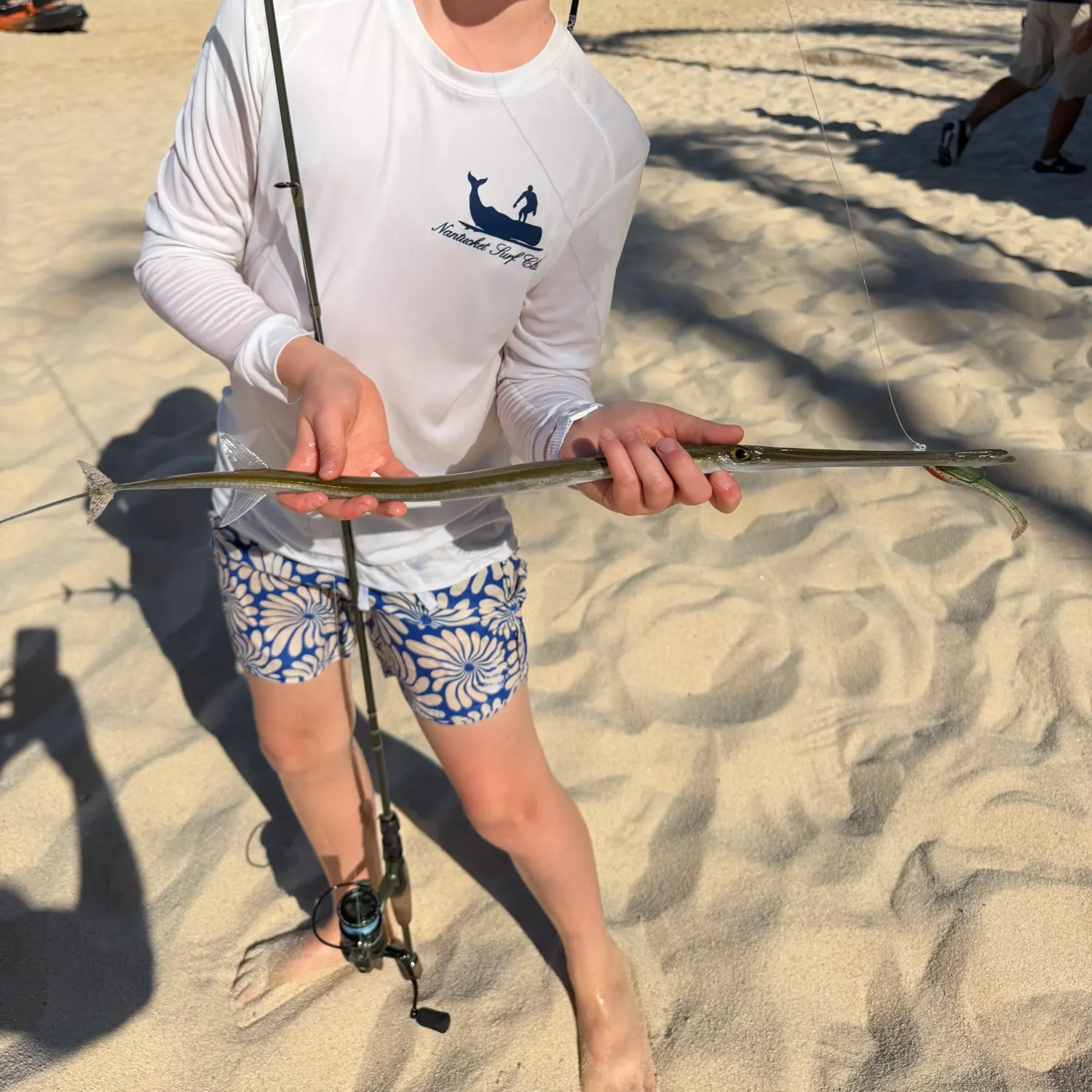 The most recent Chinese trumpetfish catches on Fishbrain