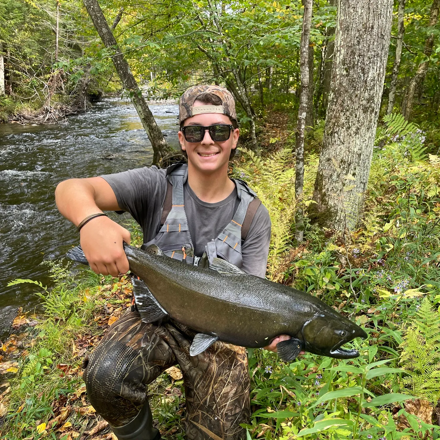 Chinook salmon caught on Fishbrain