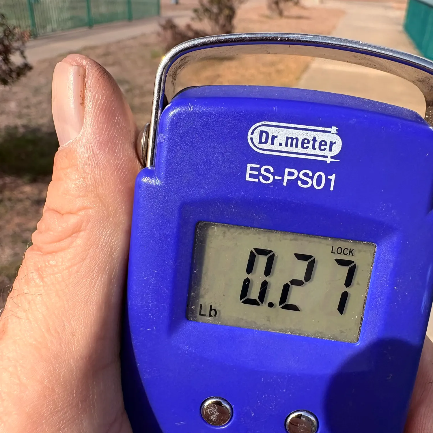 The most recent Rainbow trout catches on Fishbrain