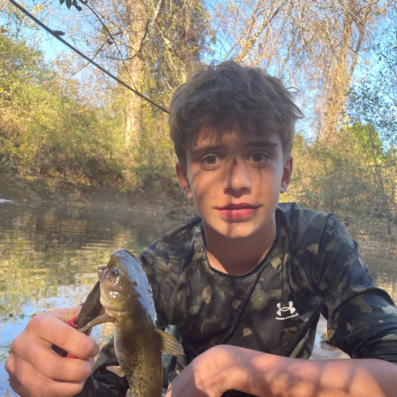 The most recent Black bullhead catches on Fishbrain