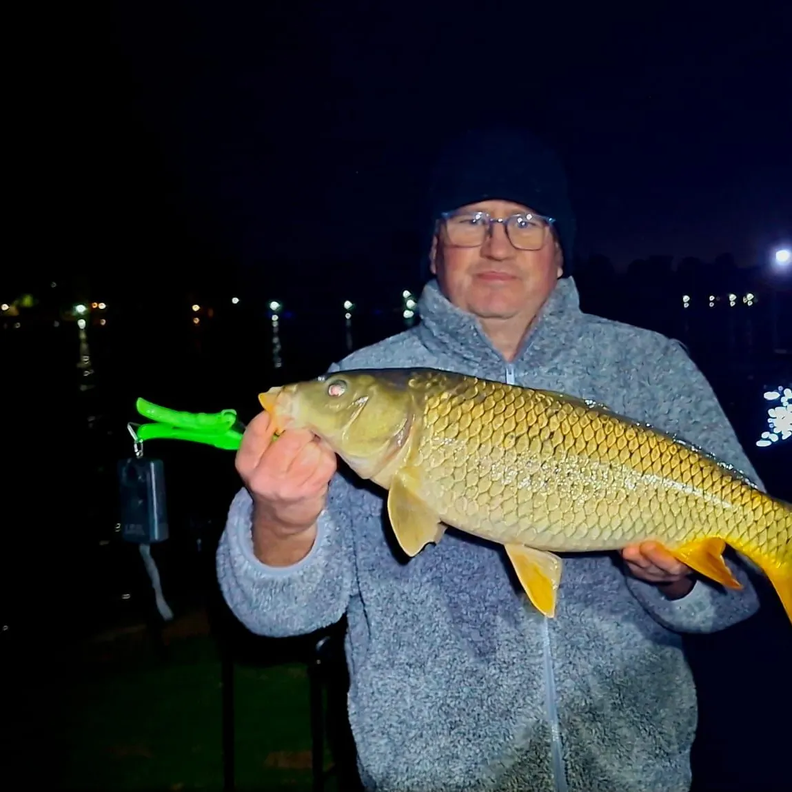 Common carp caught on Fishbrain
