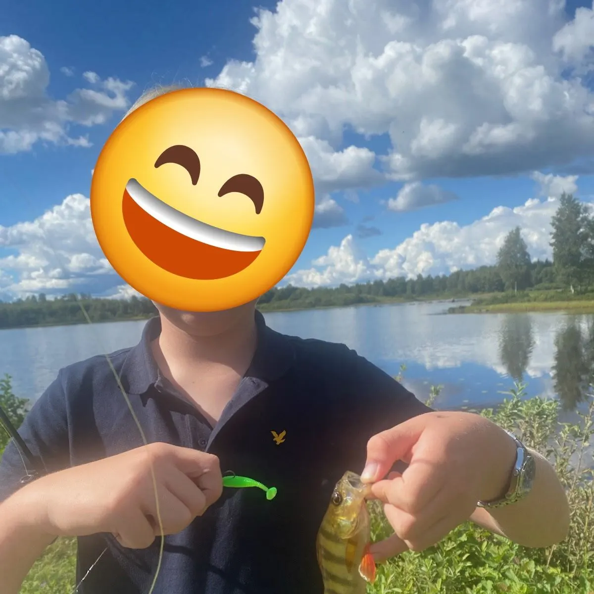 European perch caught on Fishbrain
