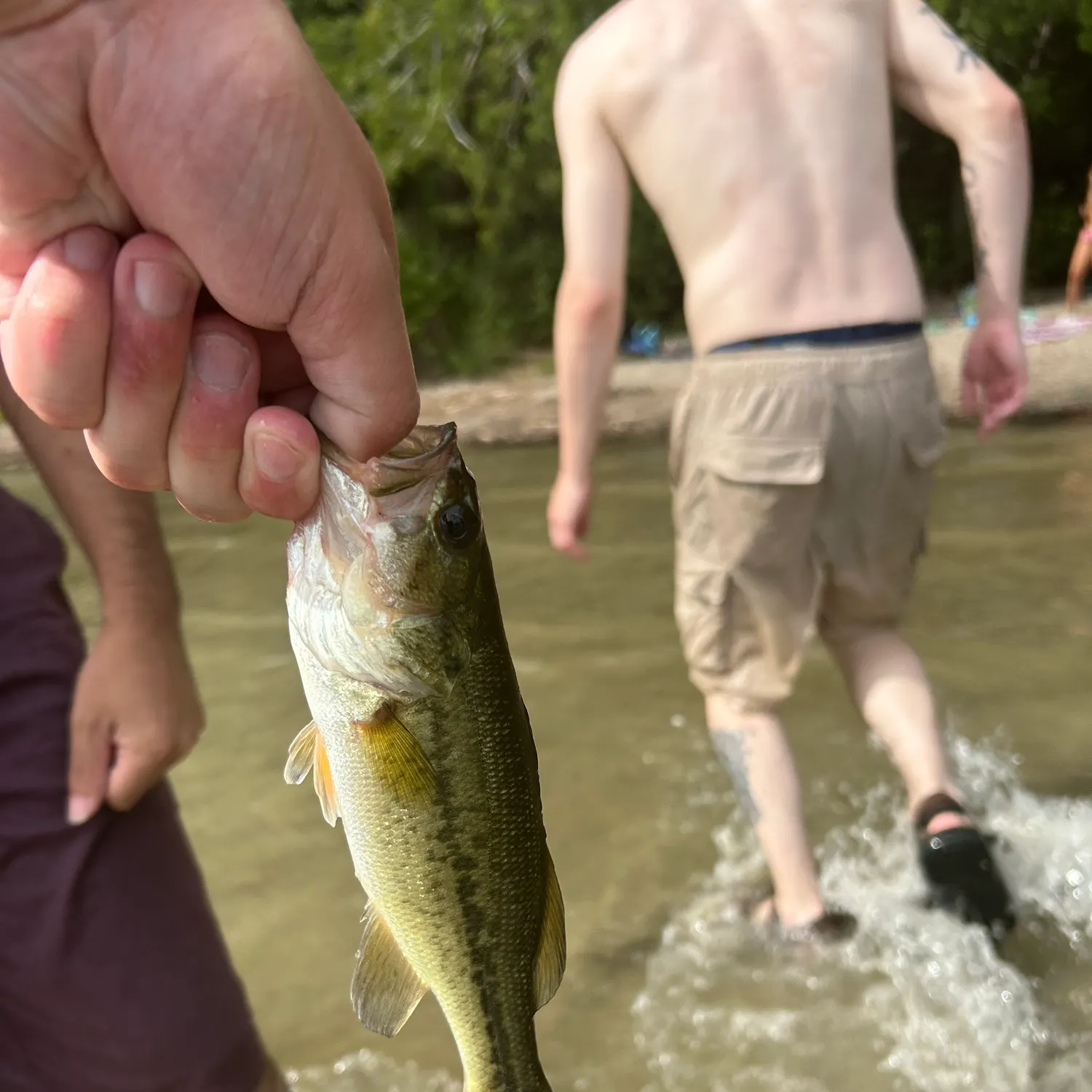 catch