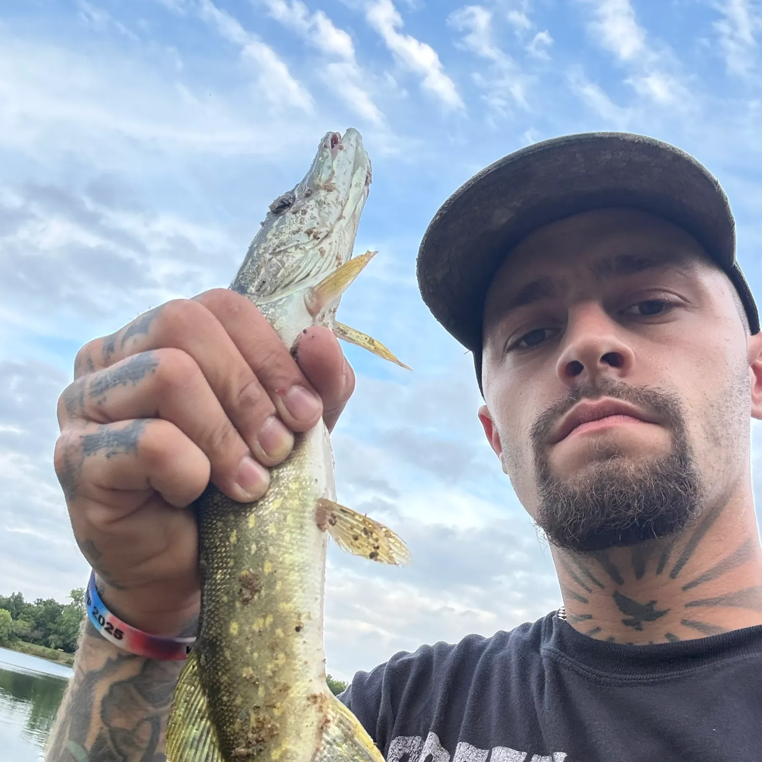 Northern pike caught on Fishbrain