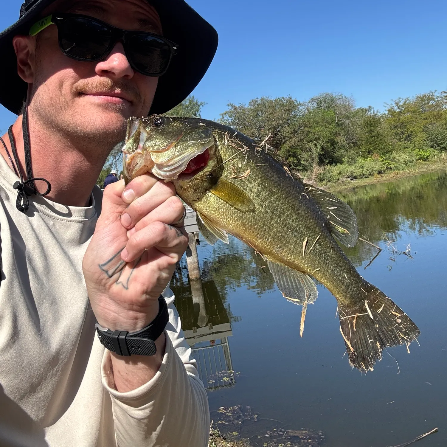 Largemouth bass caught on Fishbrain