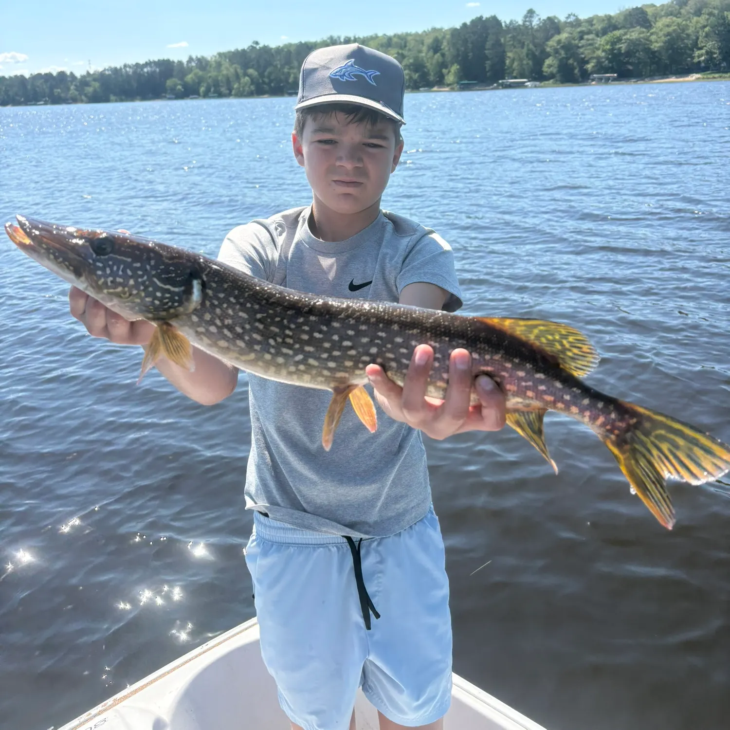 Northern pike caught on Fishbrain