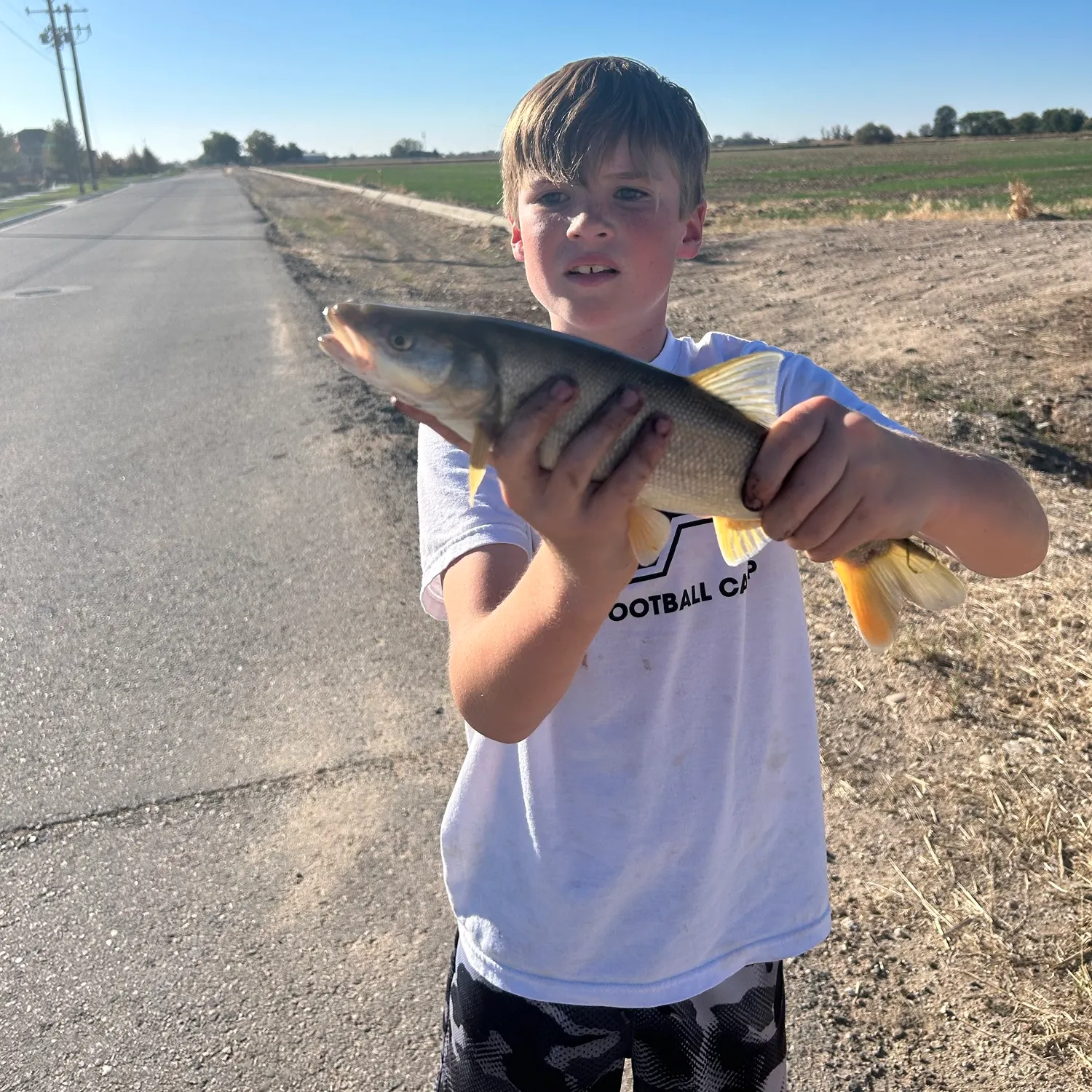 Grass carp caught on Fishbrain