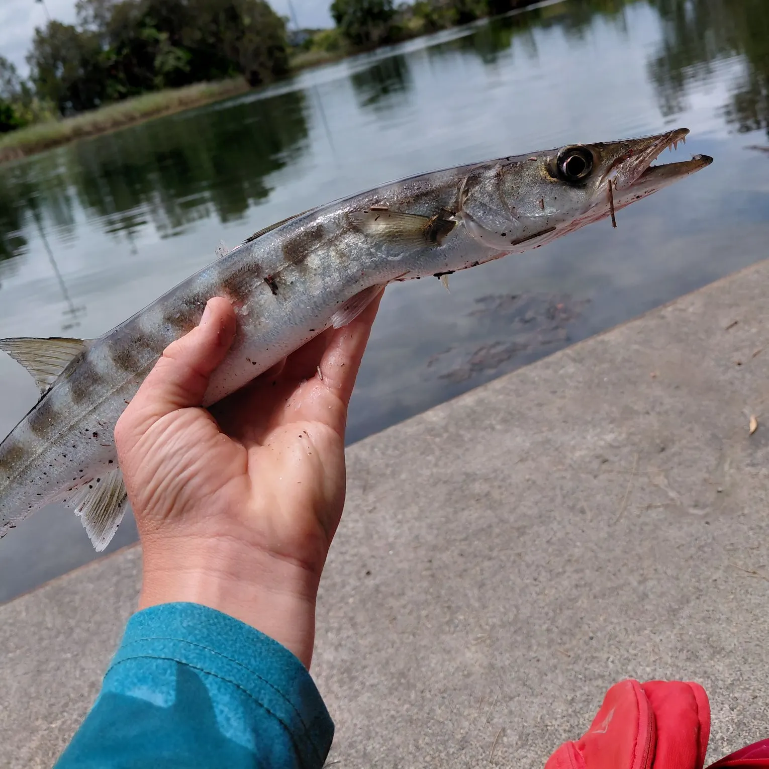 catch