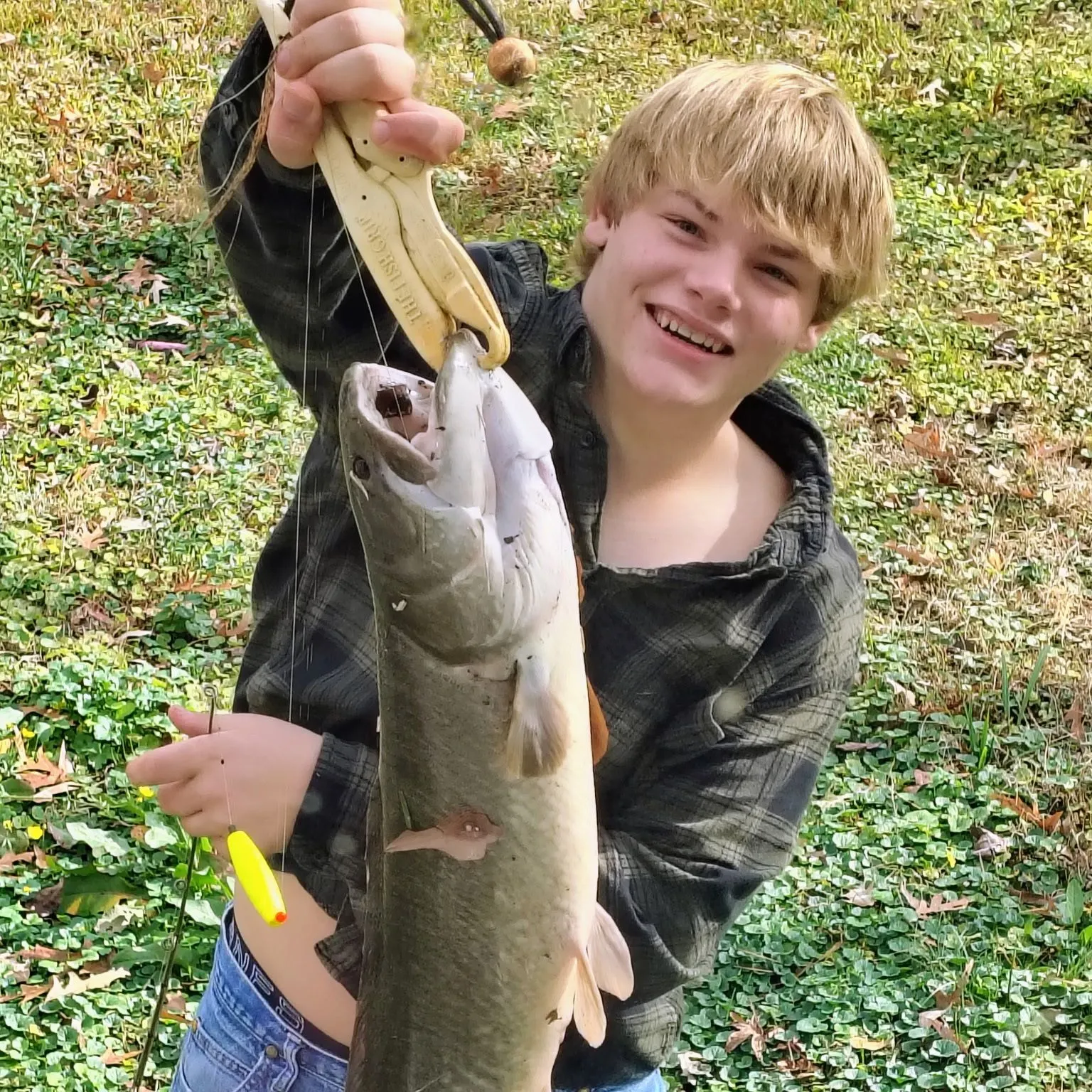 The most recent Eyetail bowfin catches on Fishbrain