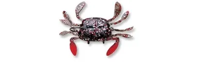 Wildeye Live Swimming Crab